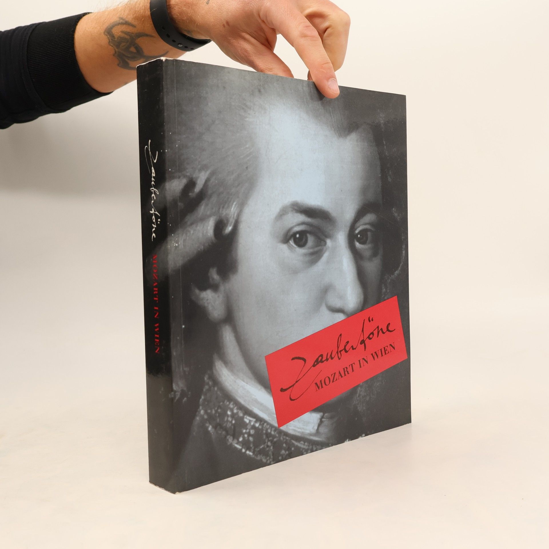 Autorenkollektiv Zaubertöne. Mozart in Wien