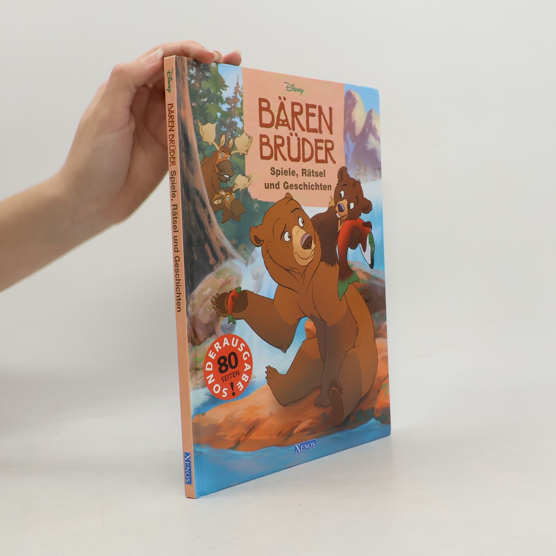 Kolektiv autorů Bären brüder