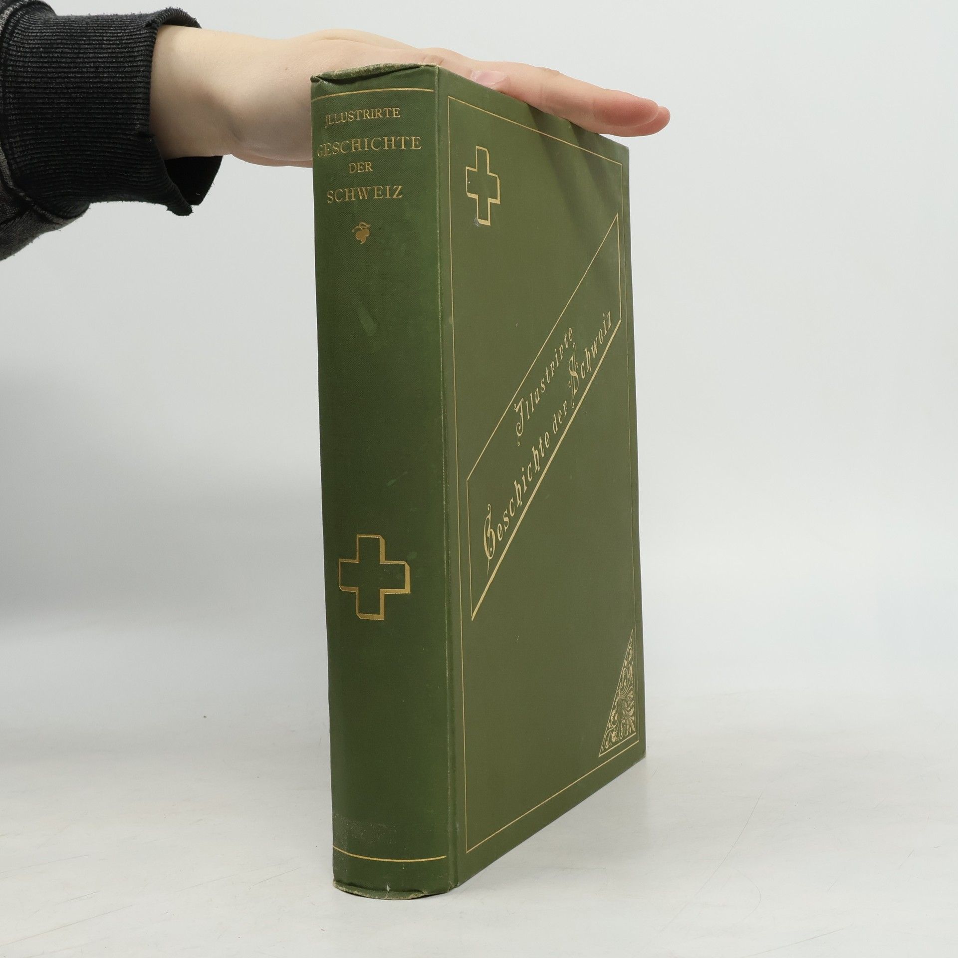 AA.VV. Illustrirte Geschichte der Schweiz