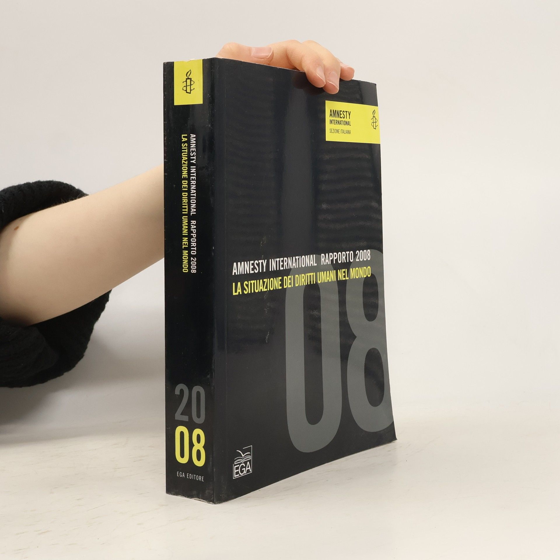 Amnesty International. Rapporto 2008. La situazione dei diritti umani nel mondo