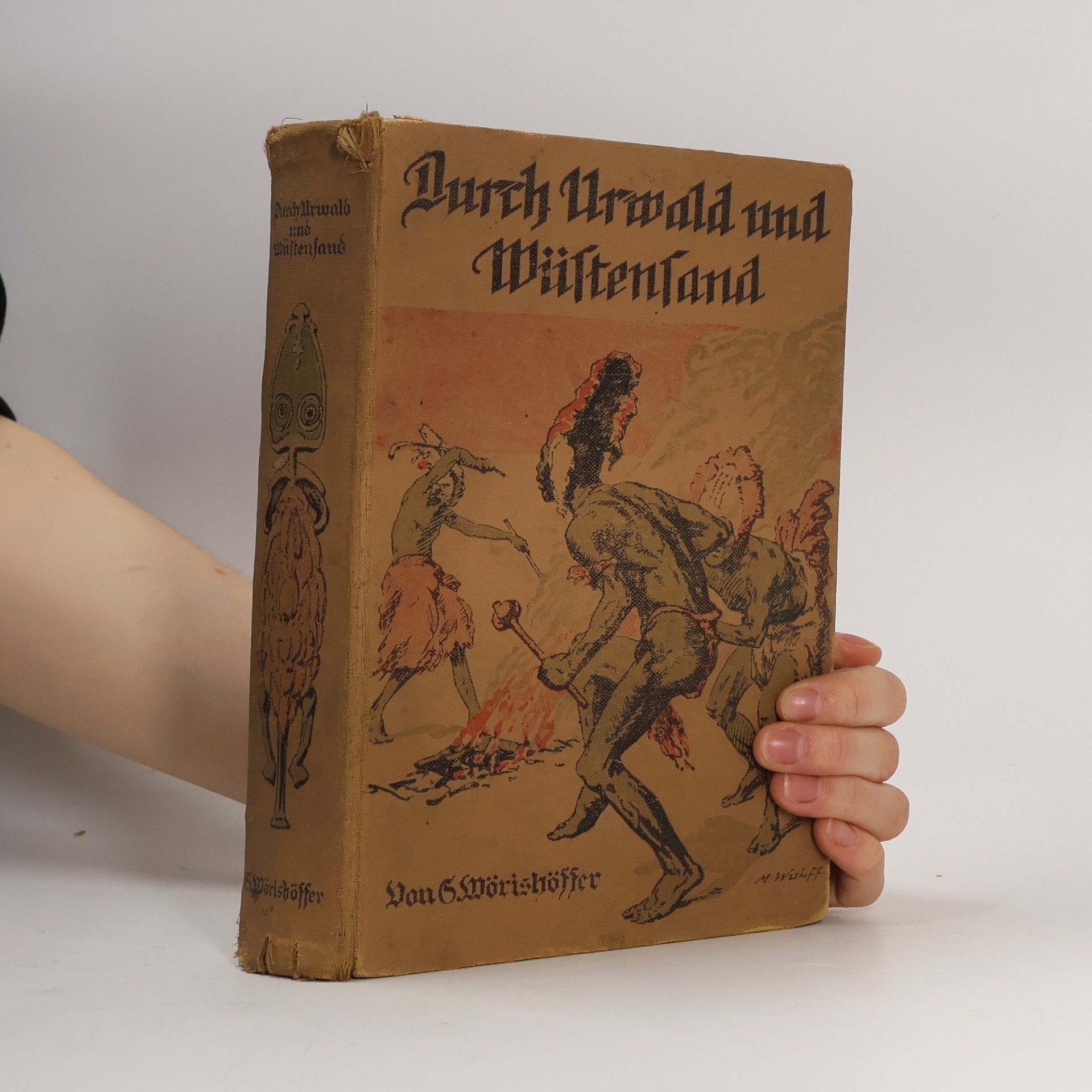 Durch Urwald und Wüstensand