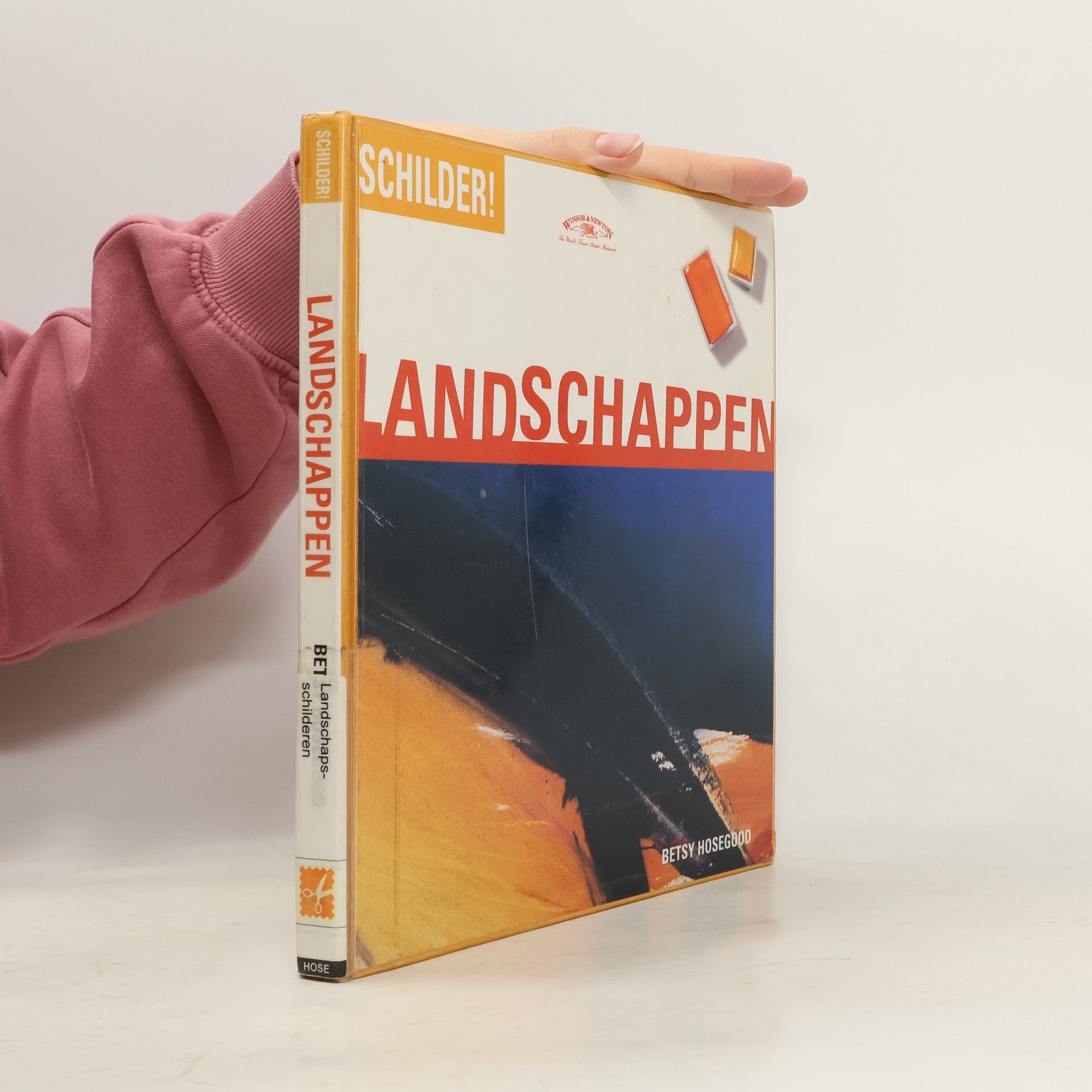 Betsy Hosegood Schilder Landschappen