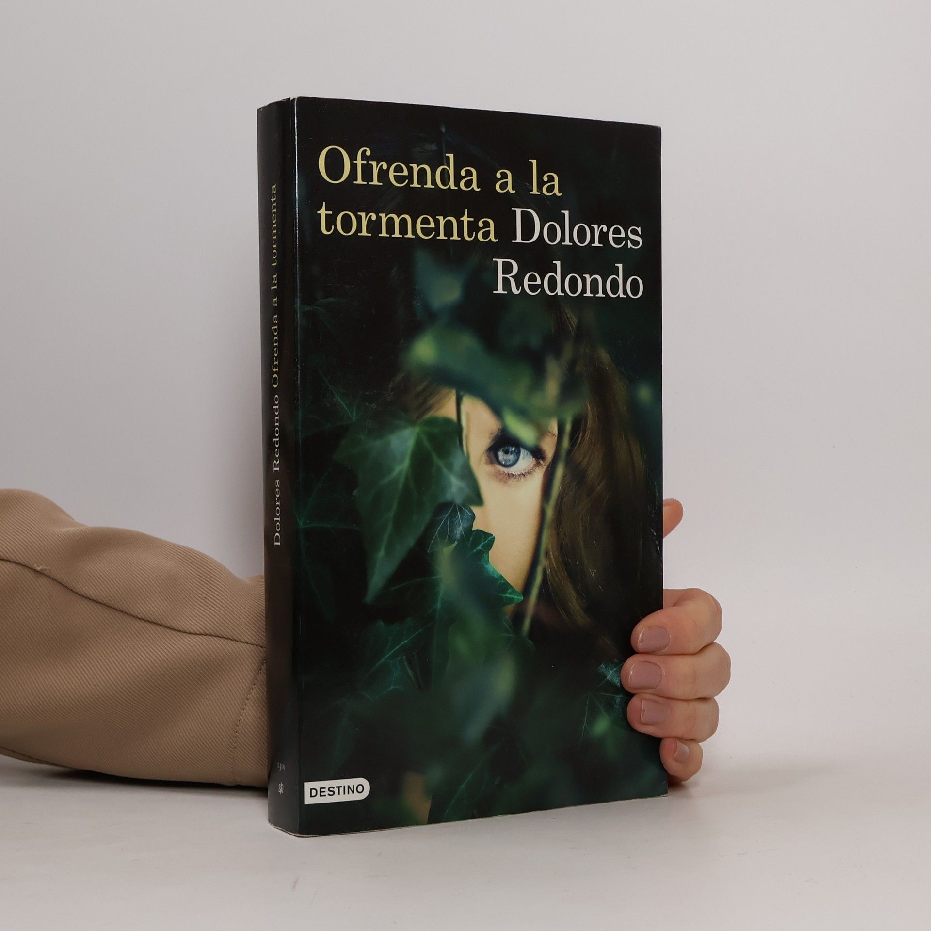 Dolores Redondo Ofrenda a la tormenta