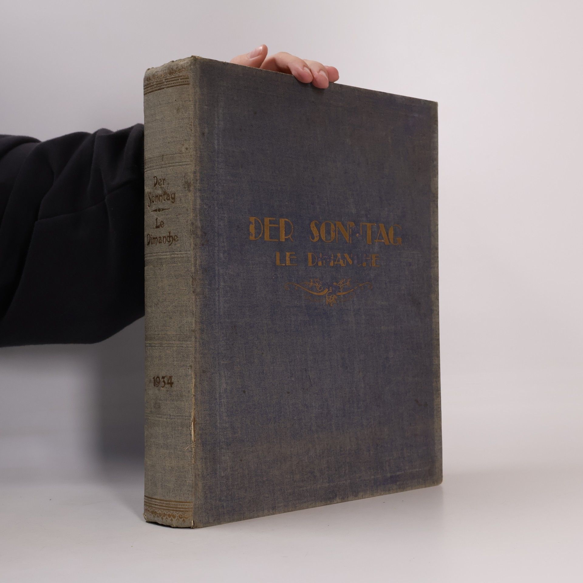 Kolektív autorov Der Sonntag. Le Dimanche 1934
