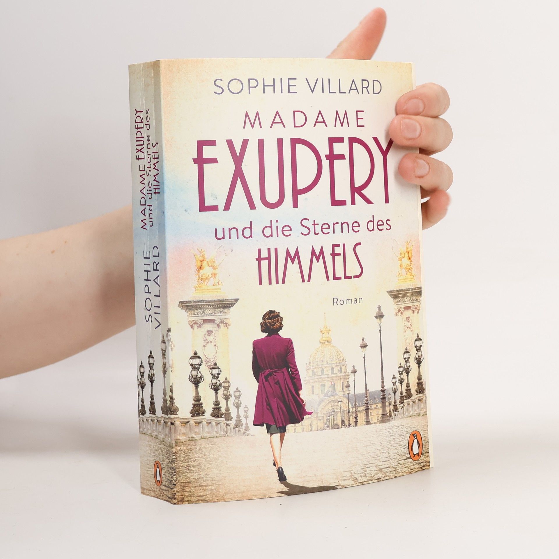 Sophie Villard Madame Exupéry und die Sterne des Himmels