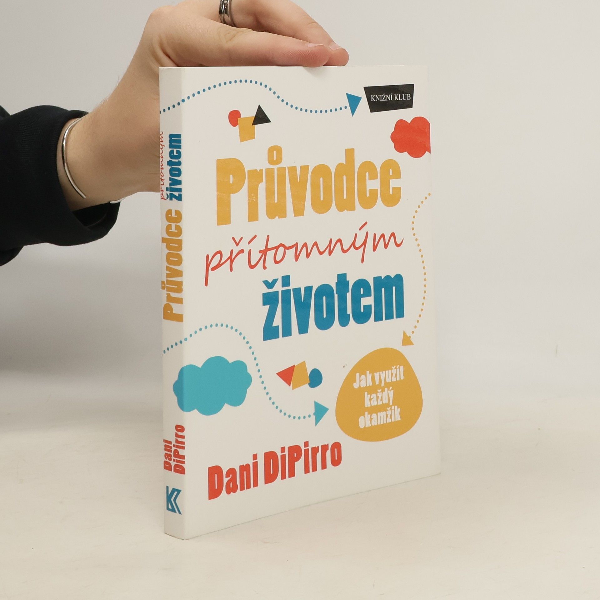 Dani DiPirro Průvodce přítomným životem: Jak využít každý okamžik