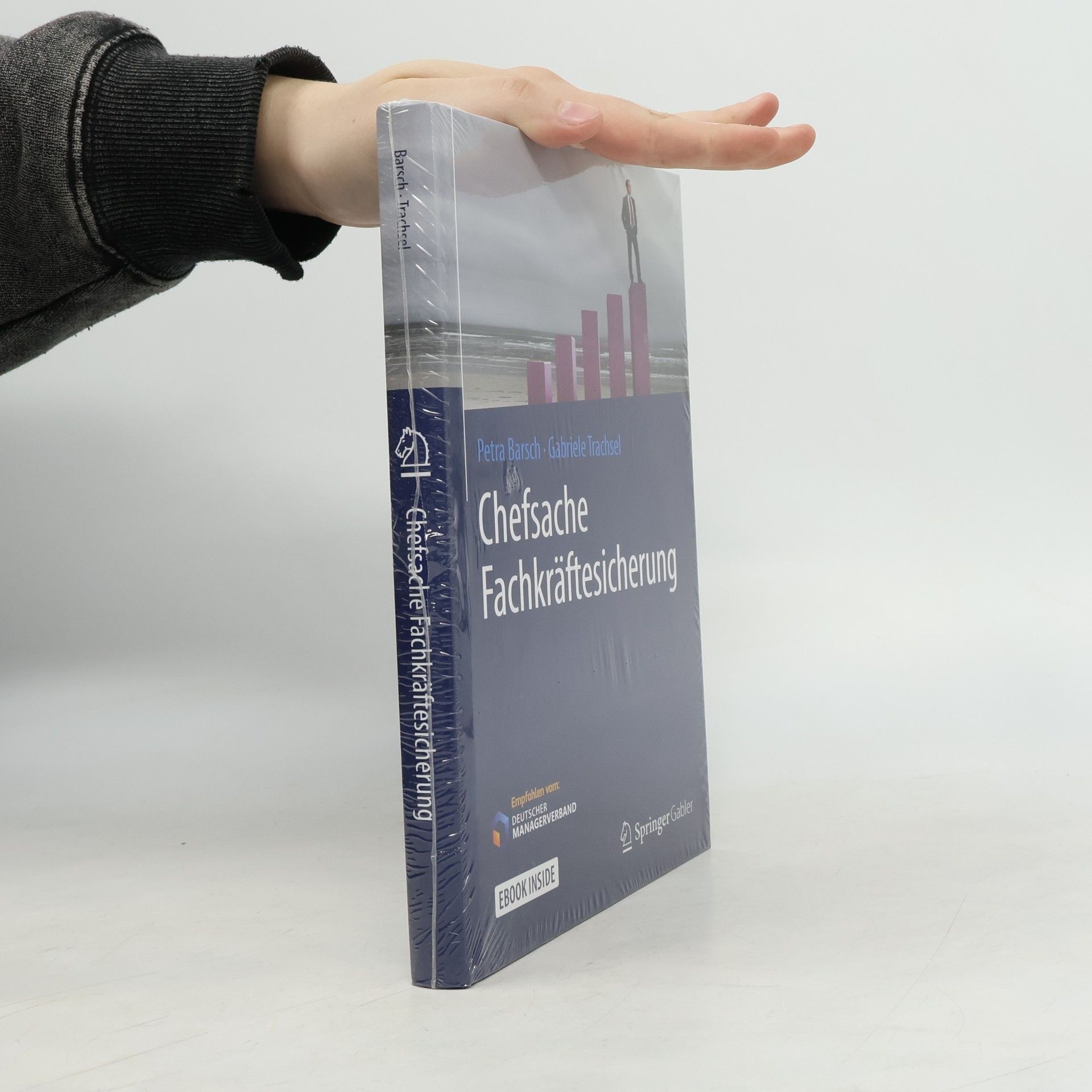 Gabriele Trachsel Chefsache Fachkräftesicherung: E-Book inside