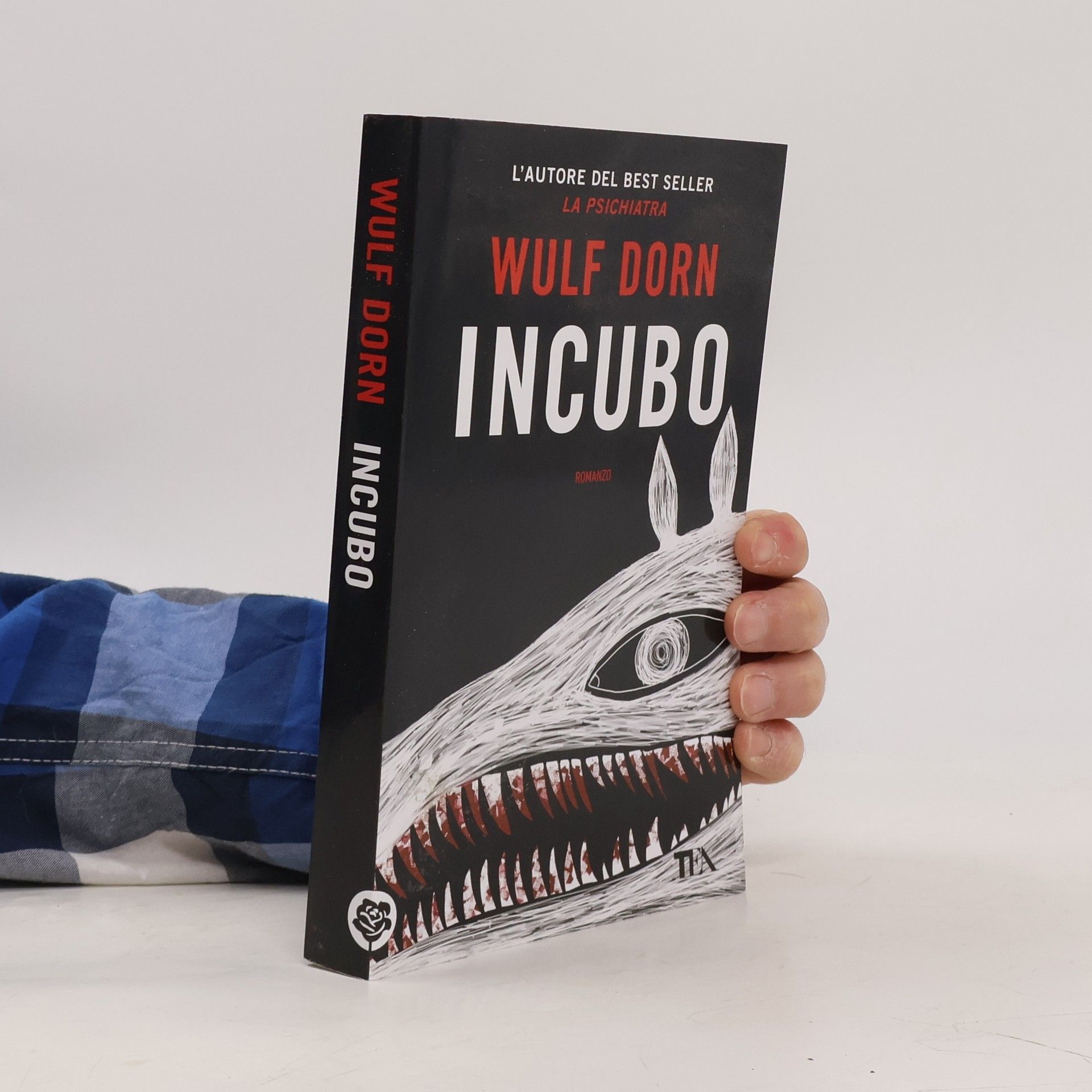 Wulf Dorn Incubo