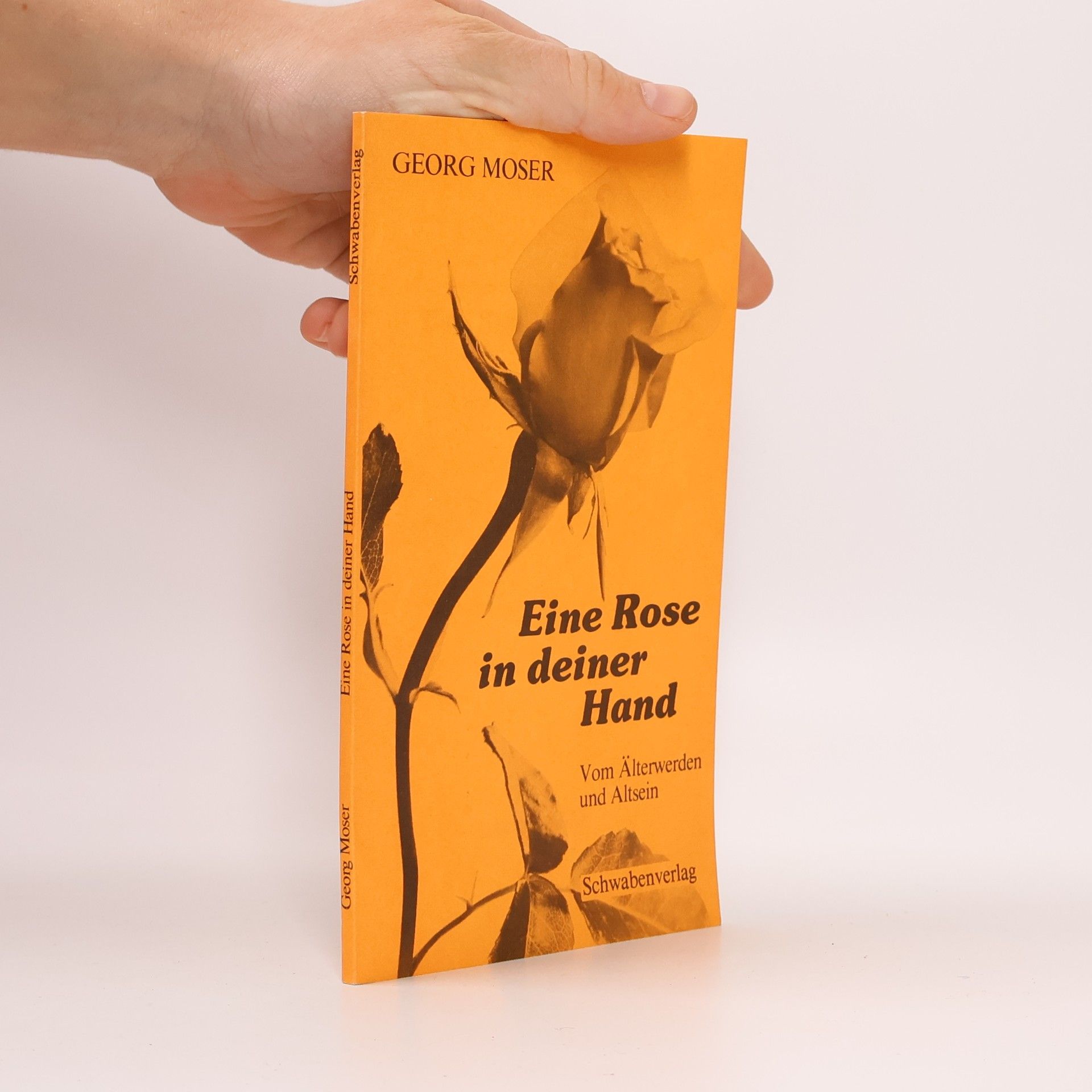 Eine Rose in deiner Hand