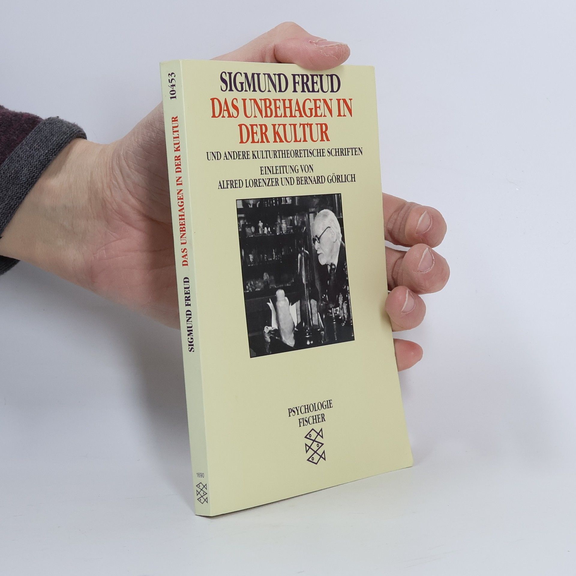 Das Unbehagen in der Kultur und andere kulturtheoretische Schriften