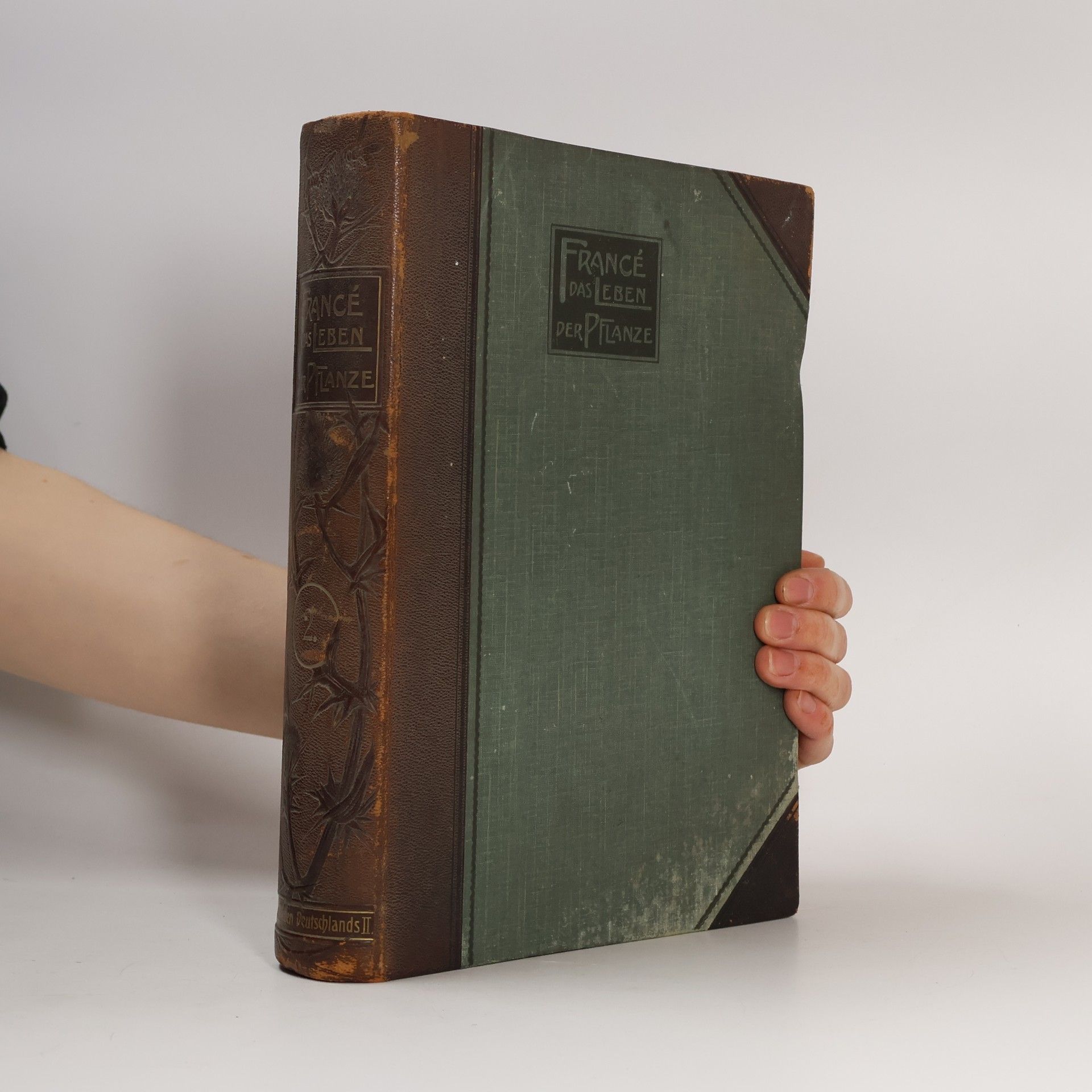 Raoul Heinrich Francé Das Leben der Pflanze. Band II.