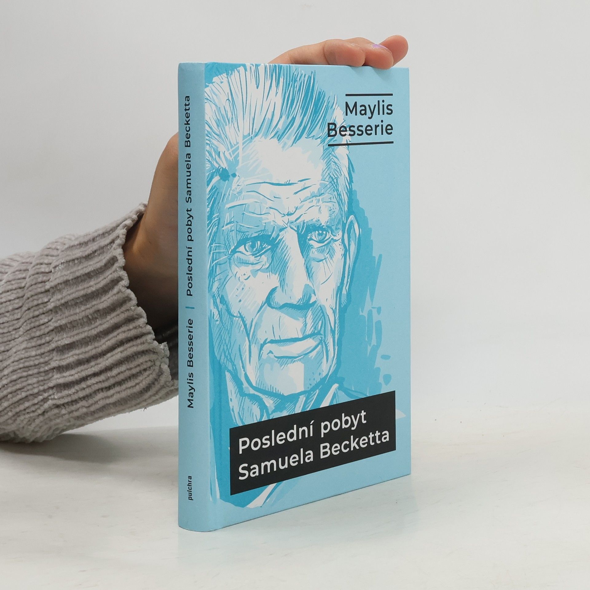 Maylis Besserie Poslední pobyt Samuela Becketta