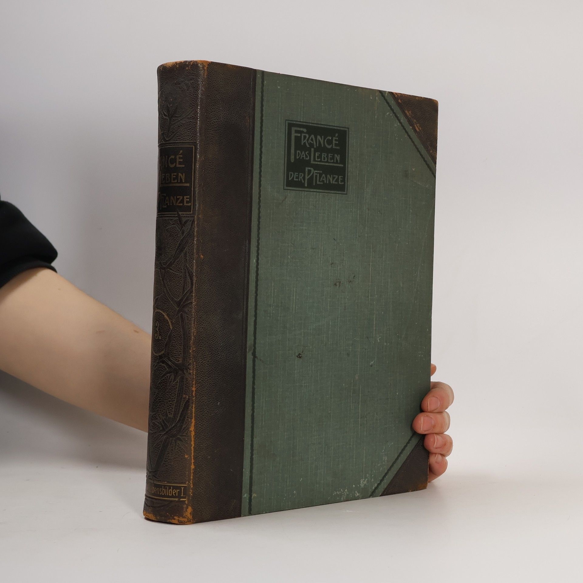 R. H. Francé Das Leben der Pflanze