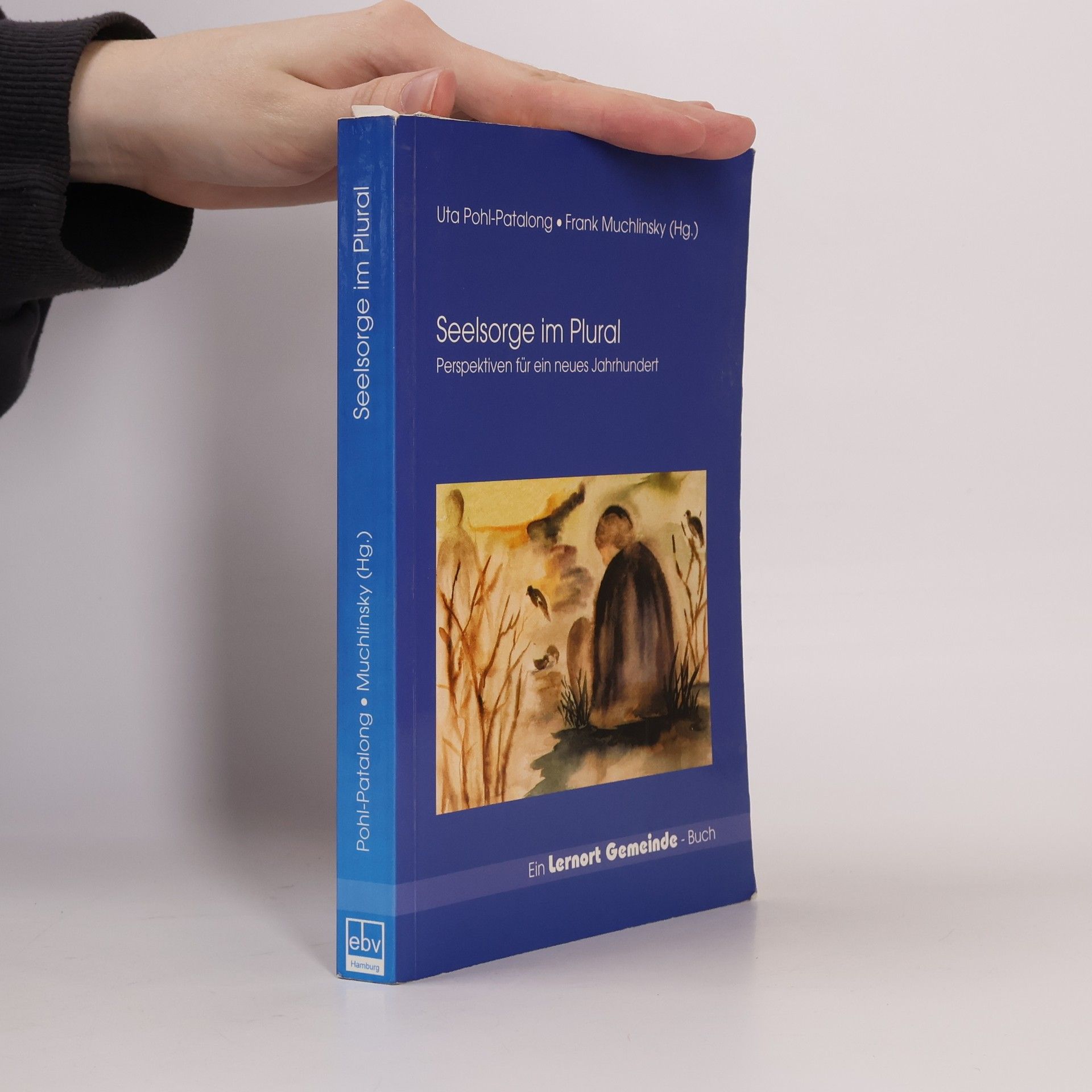 Uta Pohl-Patalong Seelsorge im Plural