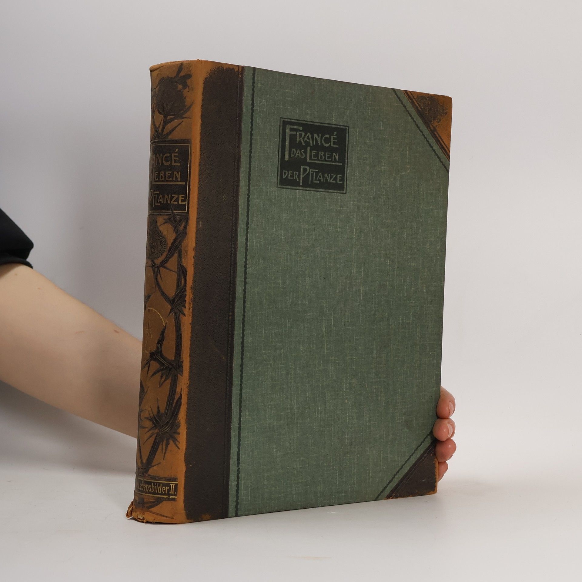 Raoul Heinrich Francé Das Leben der Pflanze II.