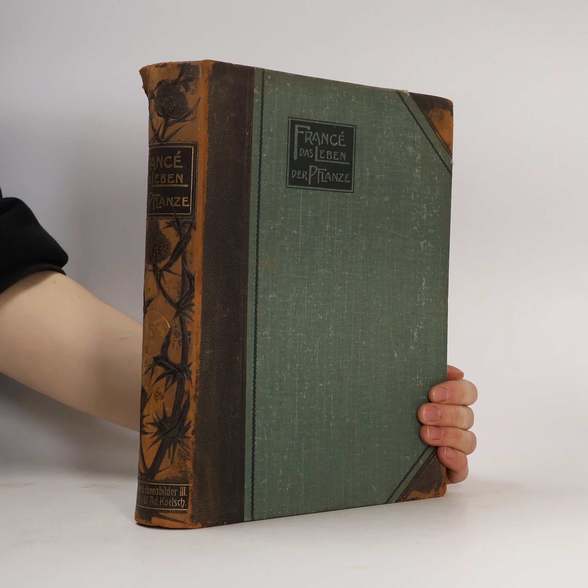 R. H. Francé Das Leben der Pflanze