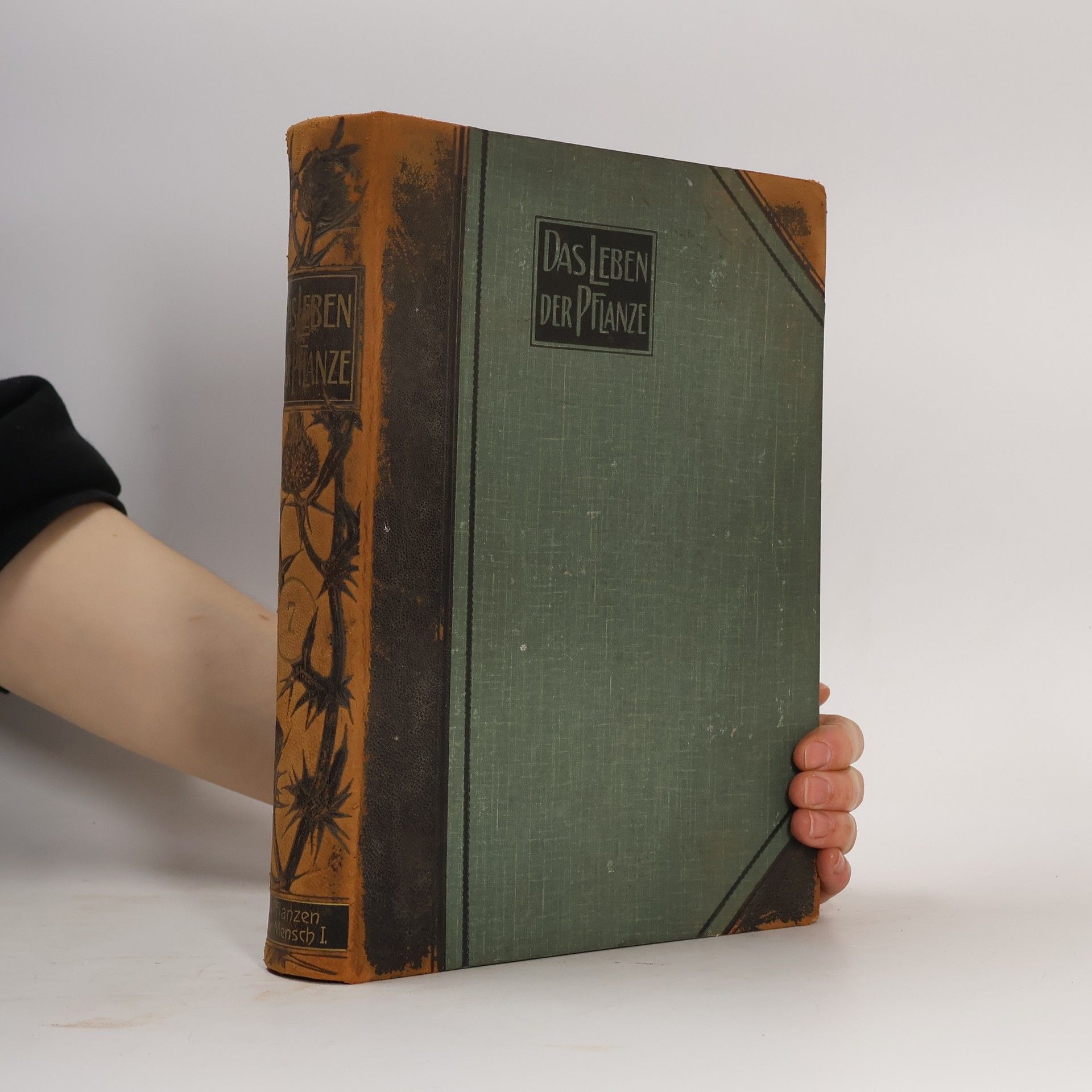 W Lange Das Leben der Pflanze