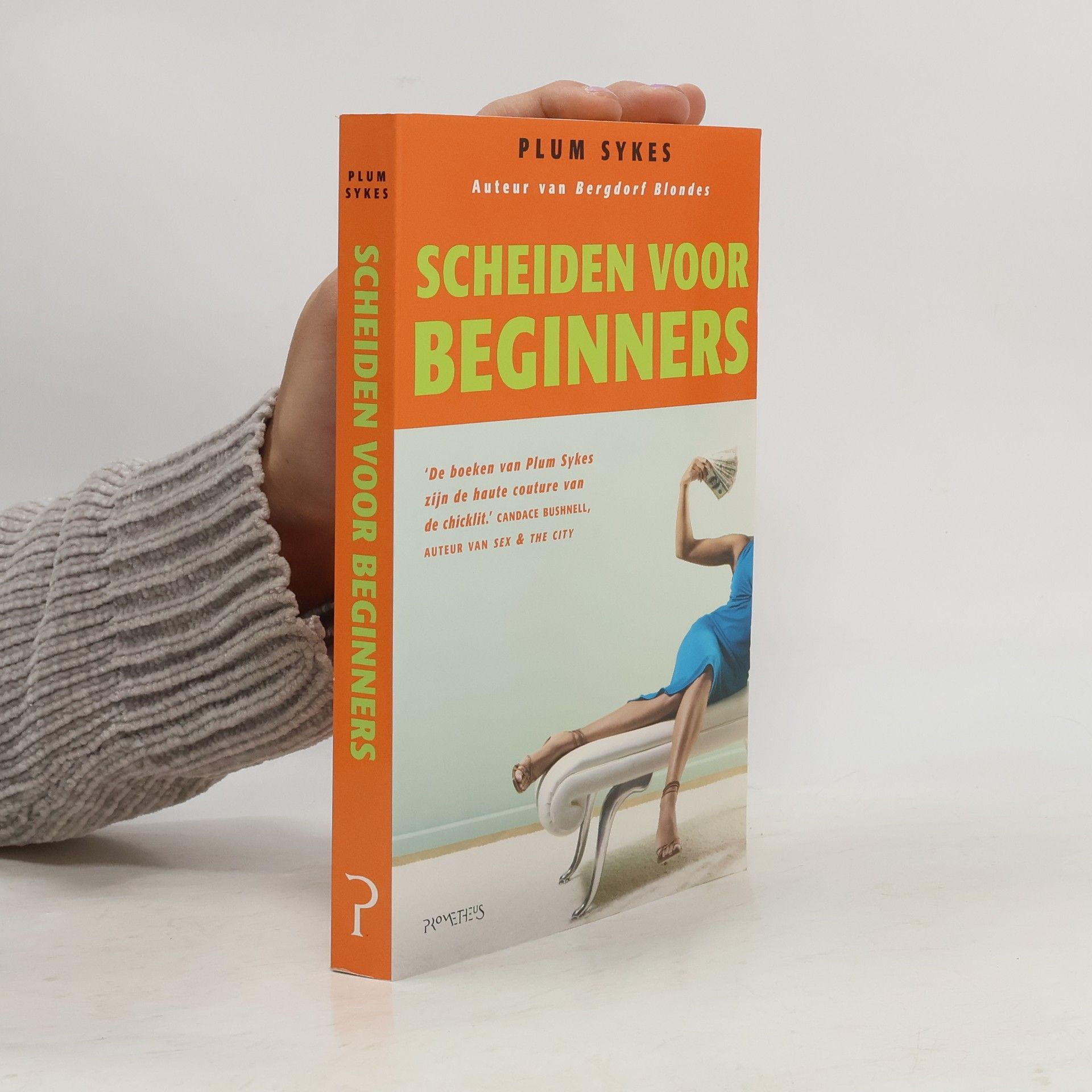 Plum Sykes Scheiden voor Beginners