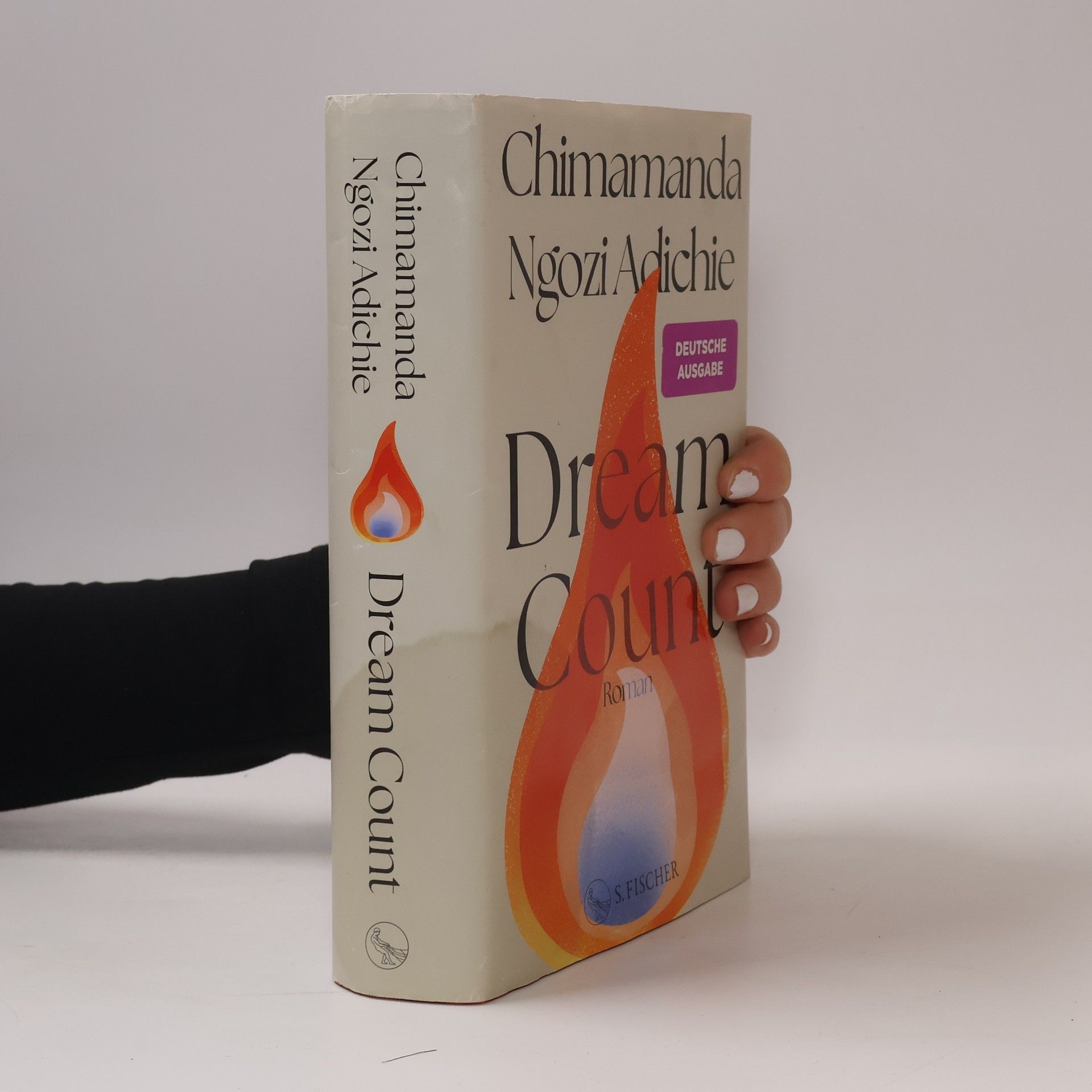 Chimamanda Ngozi Adichie Dream Count