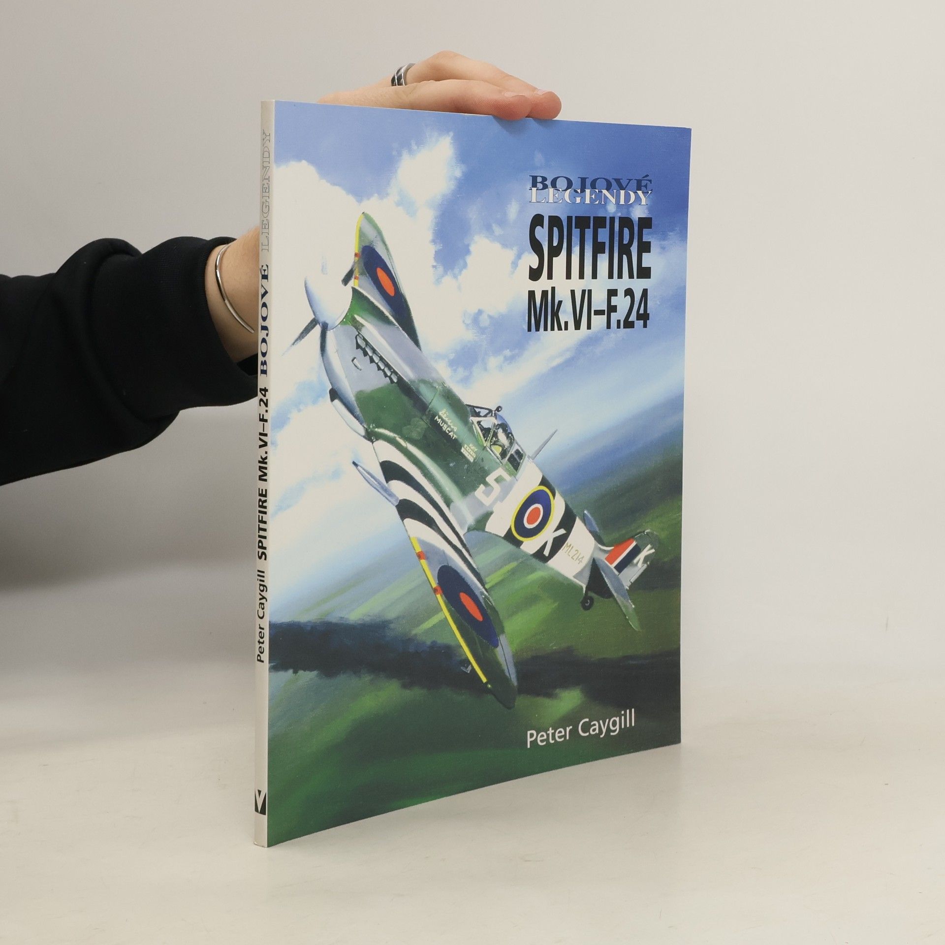 Peter Caygill Spitfire Mk.VI-F.24