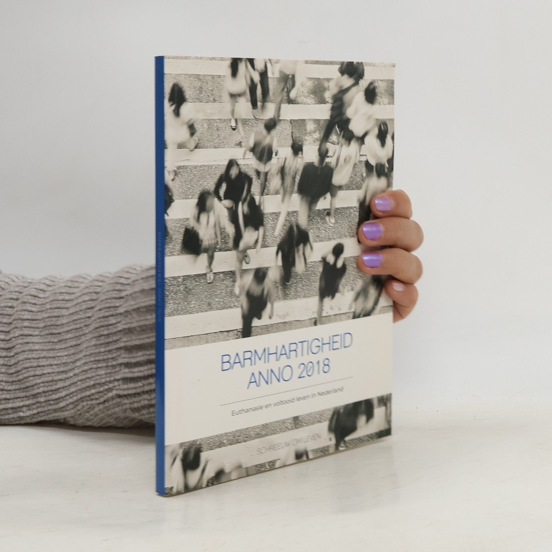 Joanne van Beusekom Barmhartigheid anno 2018