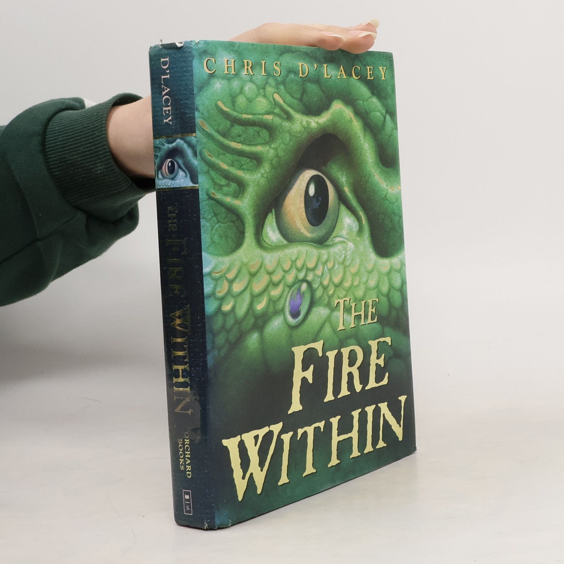 Chris d'Lacey The Fire Within