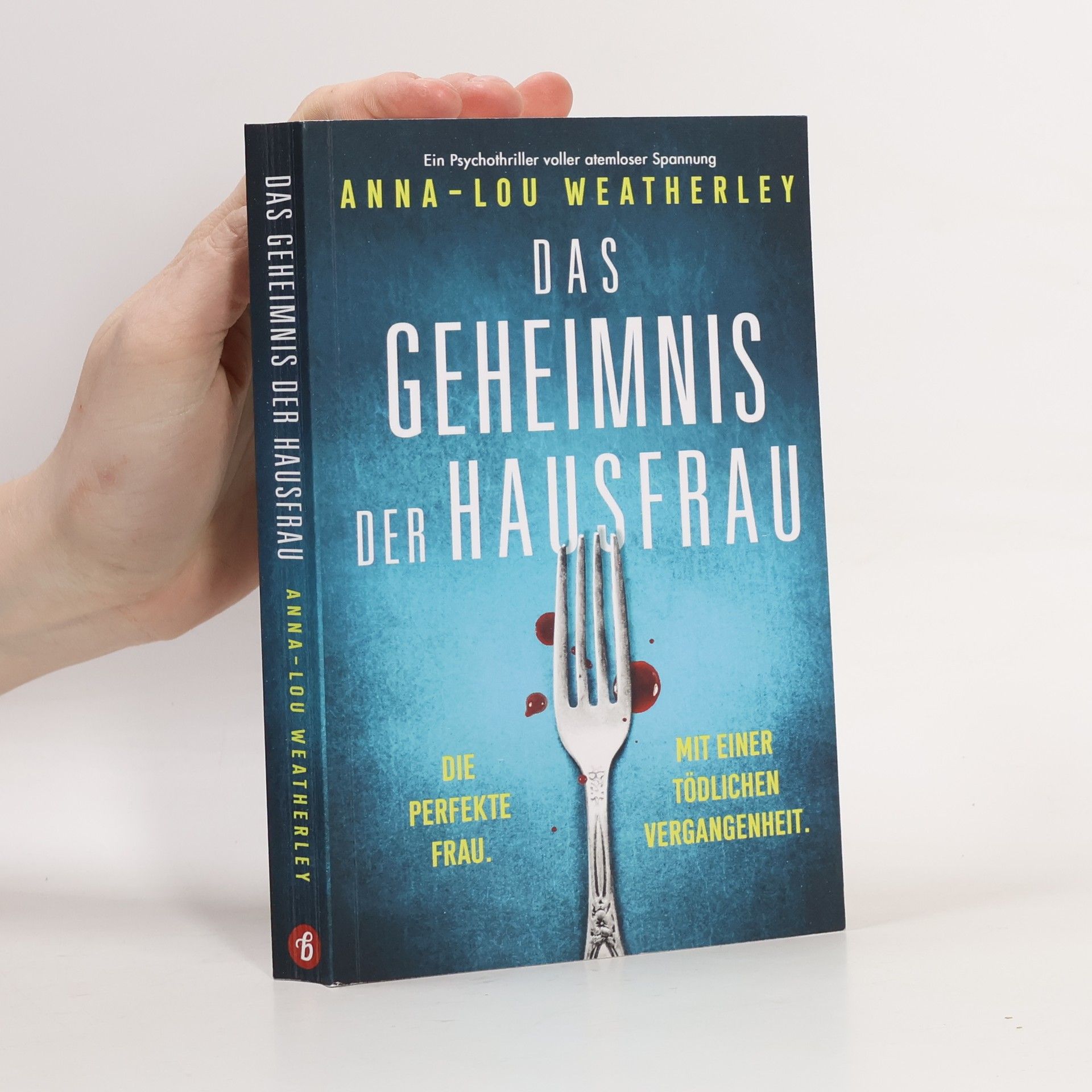 Anna-Lou Weatherley Detective Dan Riley - 7: Das Geheimnis der Hausfrau
