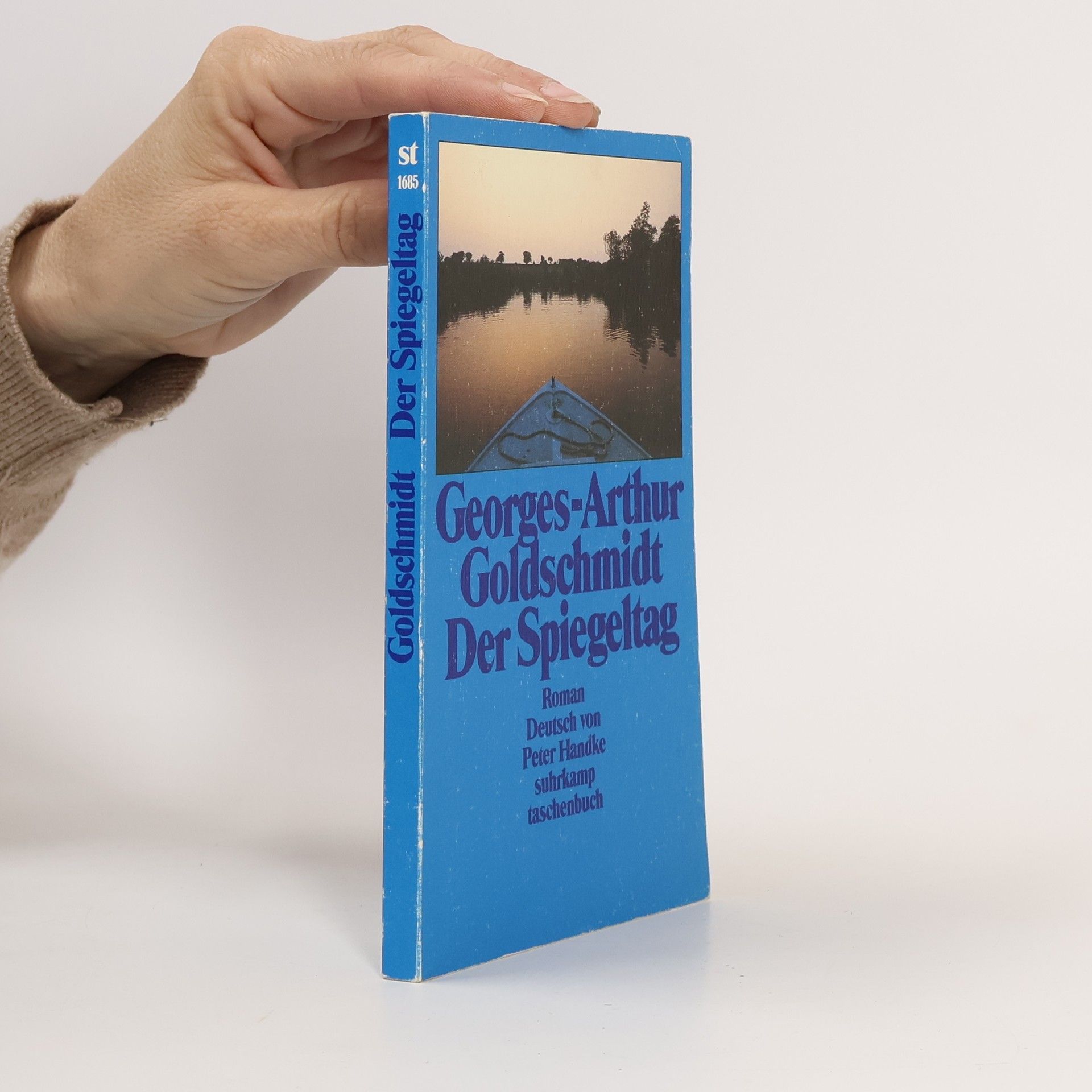 Georges-Arthur Goldschmidt Suhrkamp Taschenbuch: Der Spiegeltag