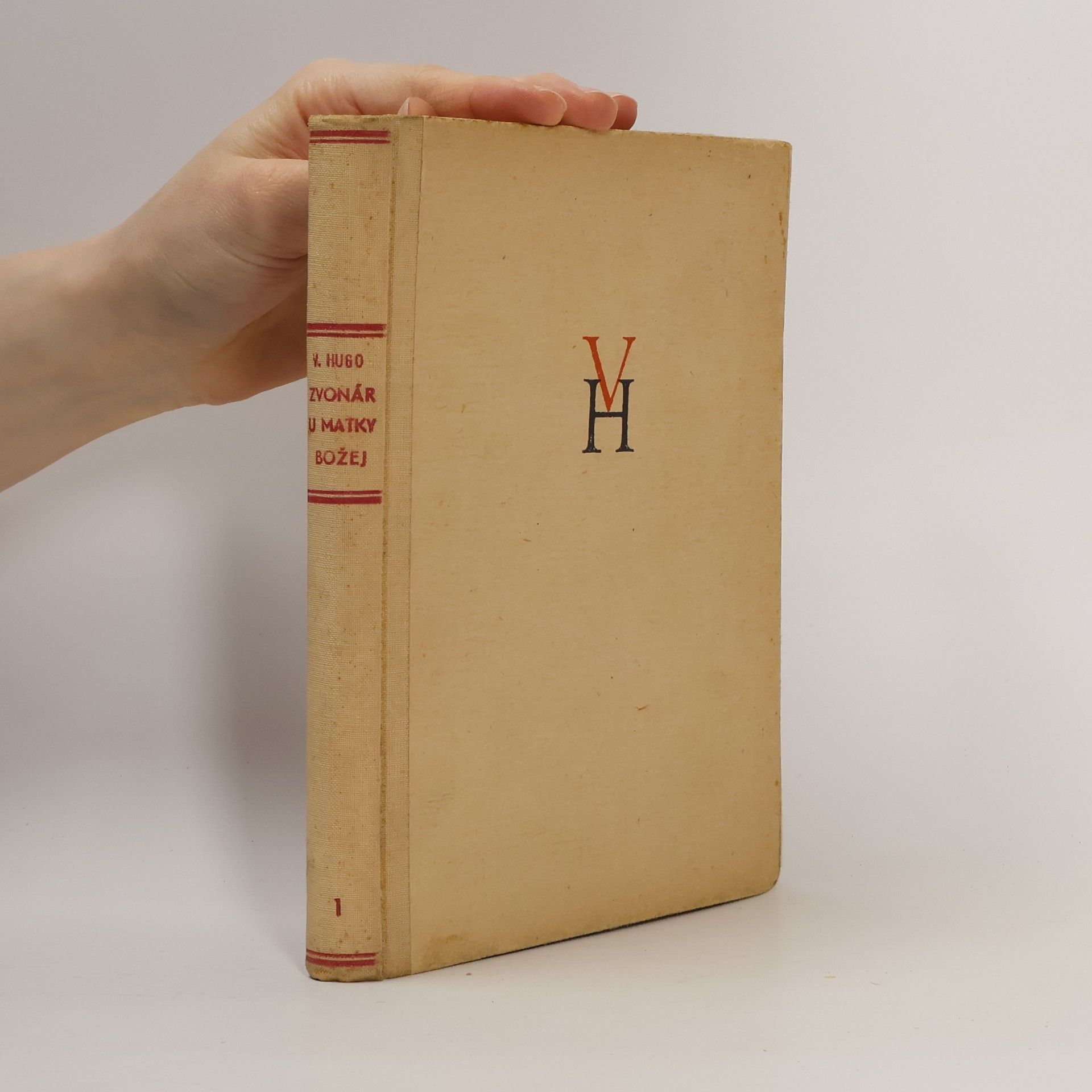 Victor Hugo Zvonár u Matky Božej 1