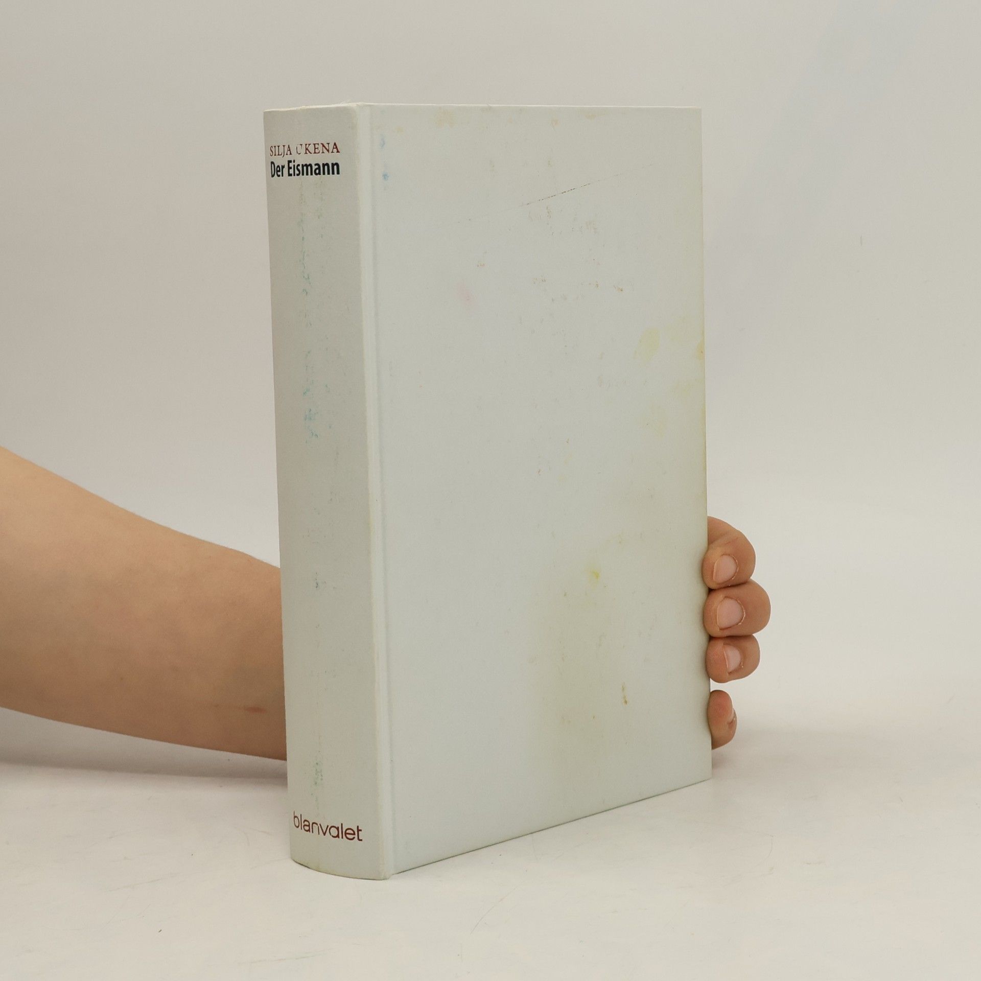 Silja Ukena Der Eismann