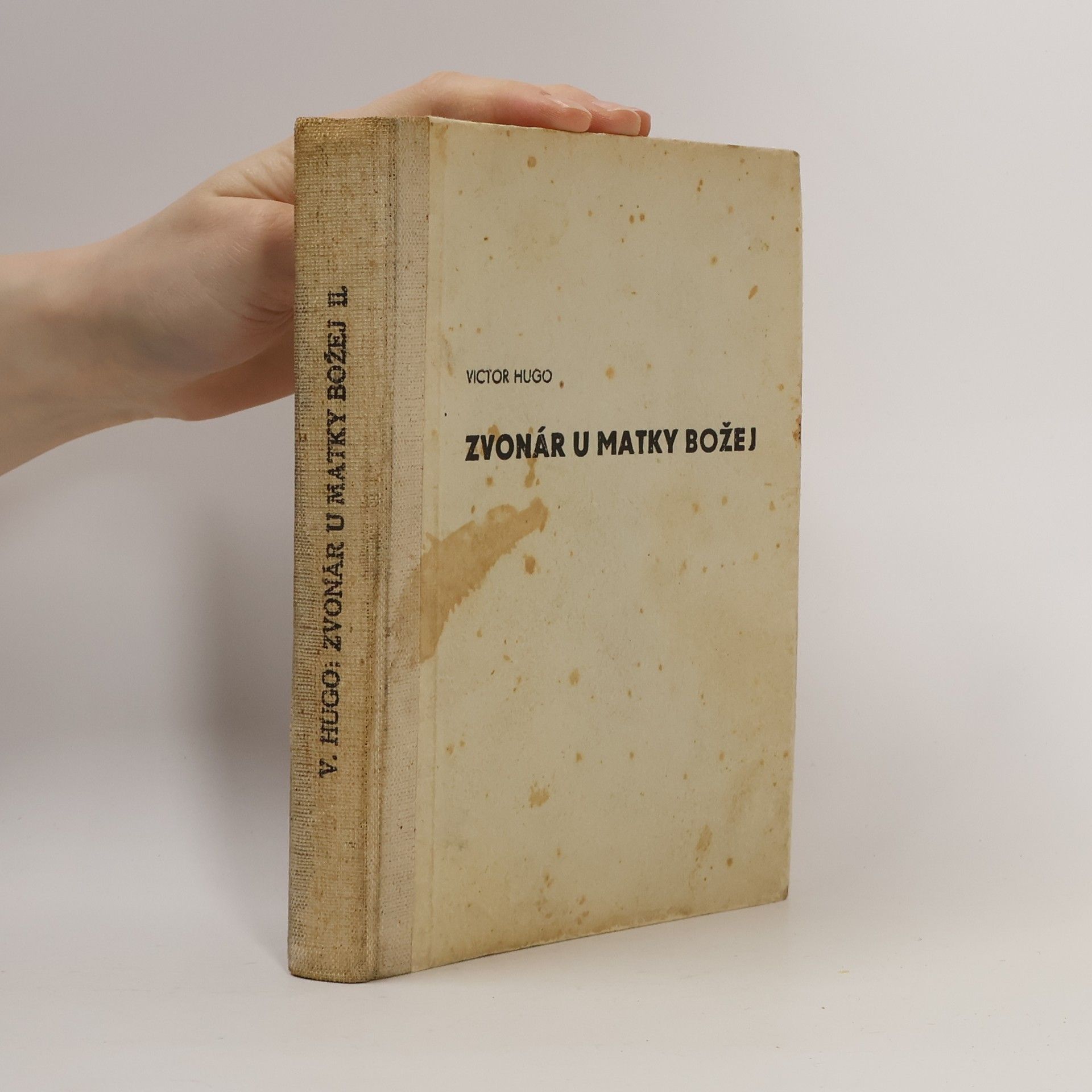Victor Hugo Zvonár u Matky Božej 2