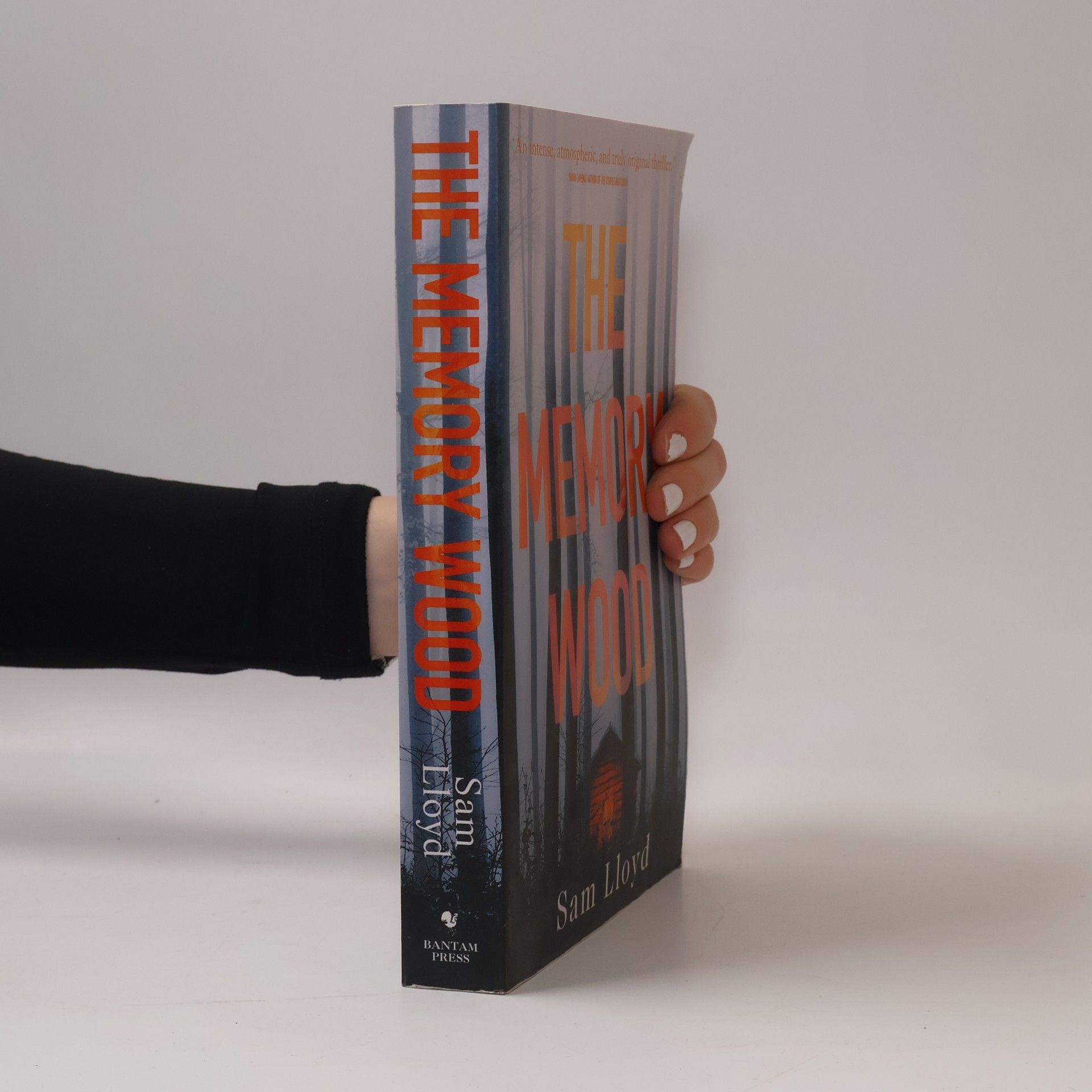 Stephen Lloyd Jones The Memory Wood