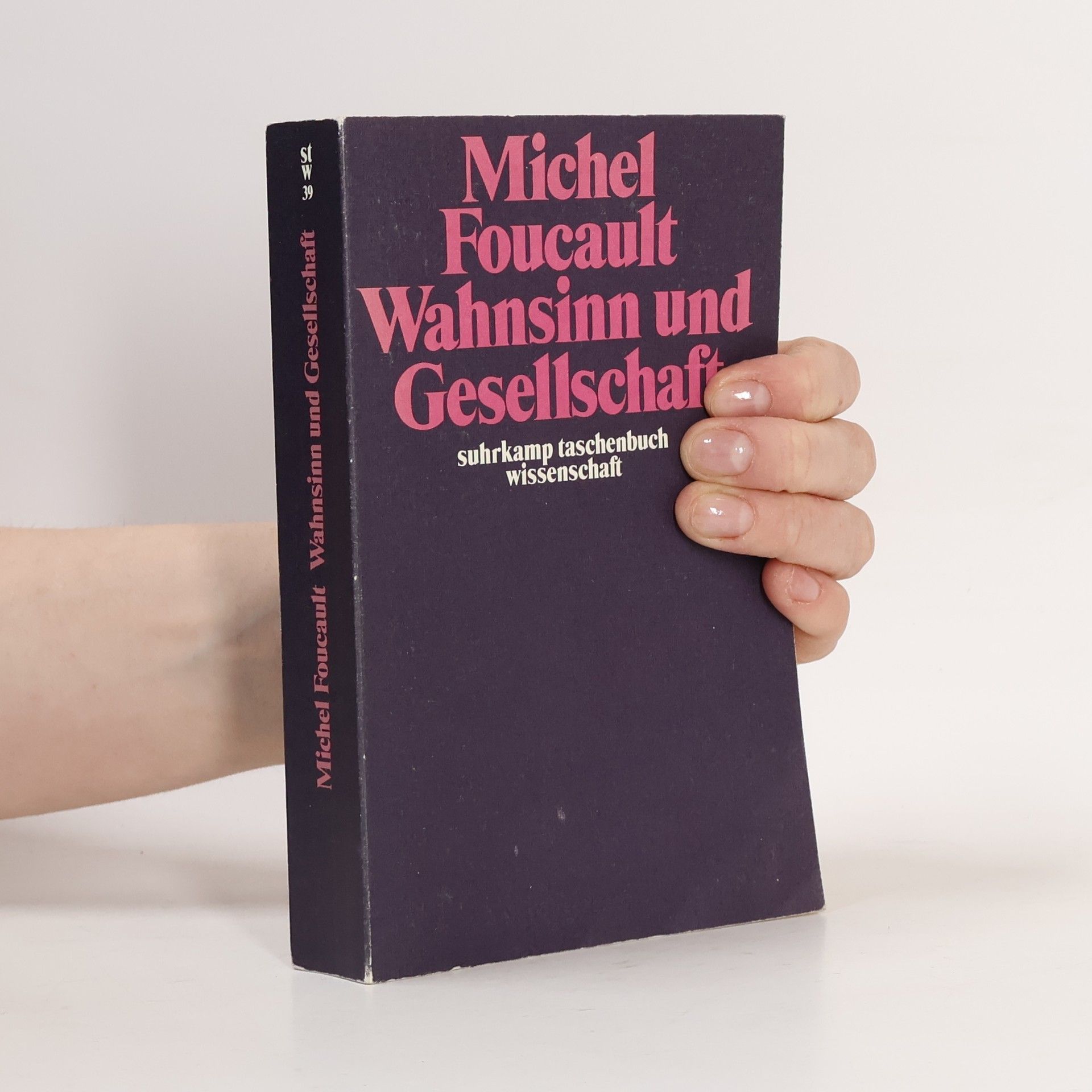 Michel Foucault Wahnsinn und Gesellschaft