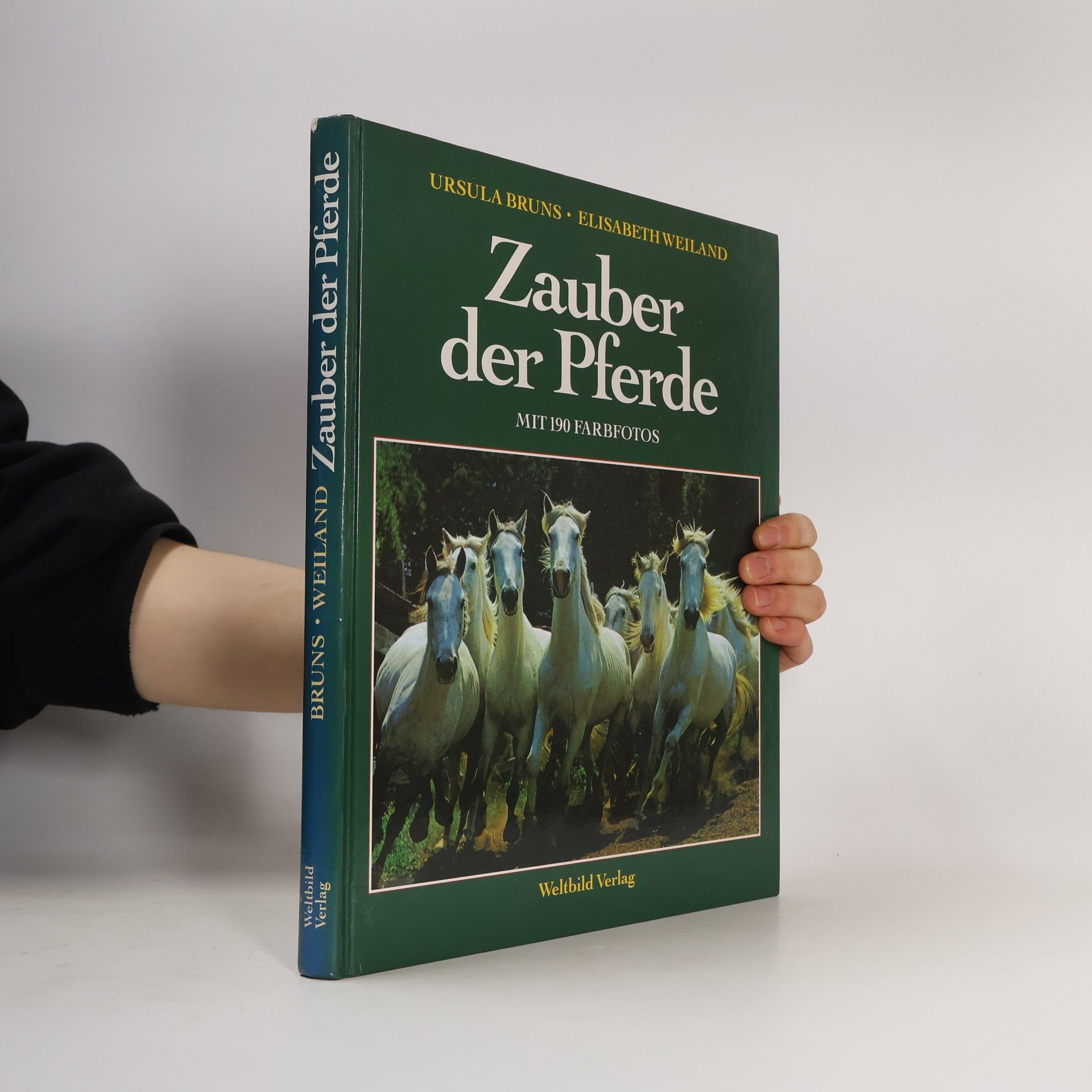 Ursula Bruns Zauber der Pferde