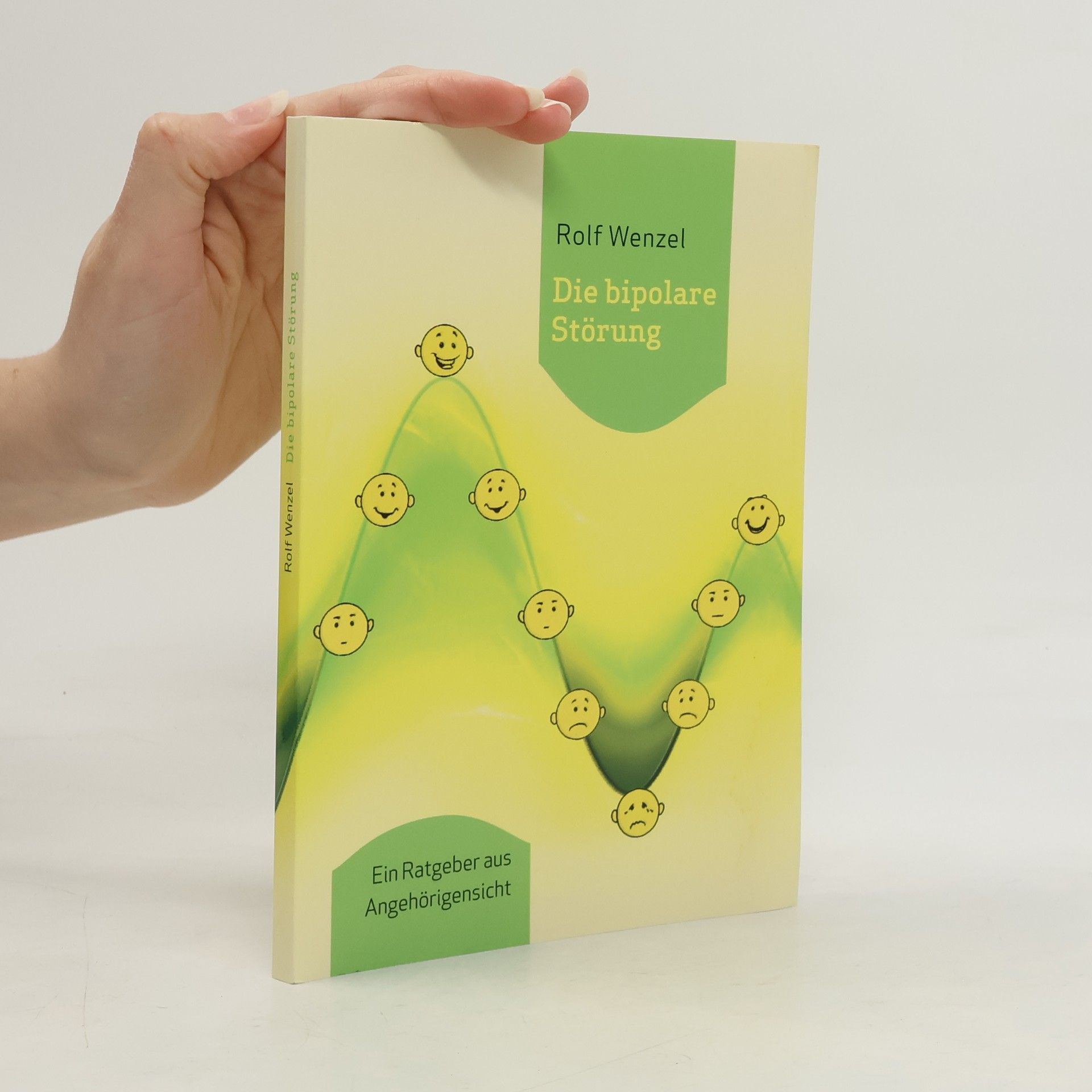 Rolf Wenzel Die bipolare Störung