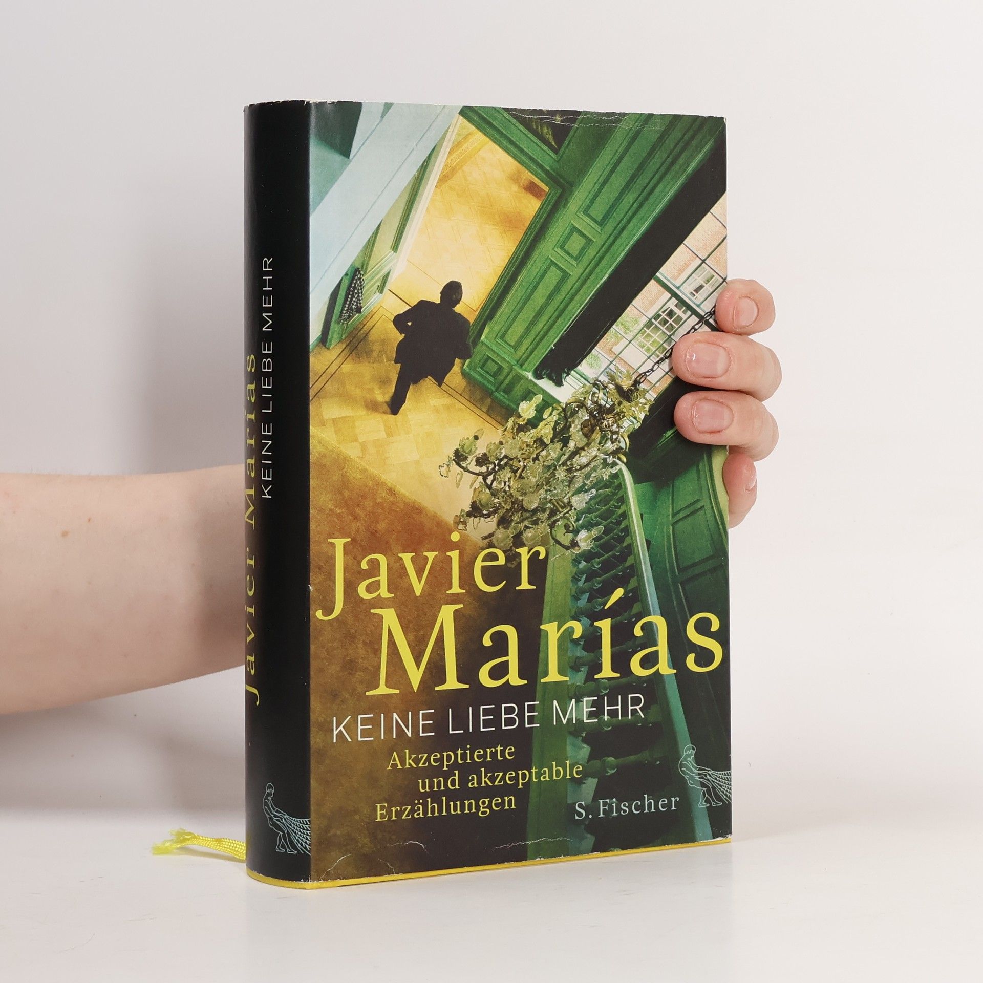 Javier Marías Keine Liebe mehr