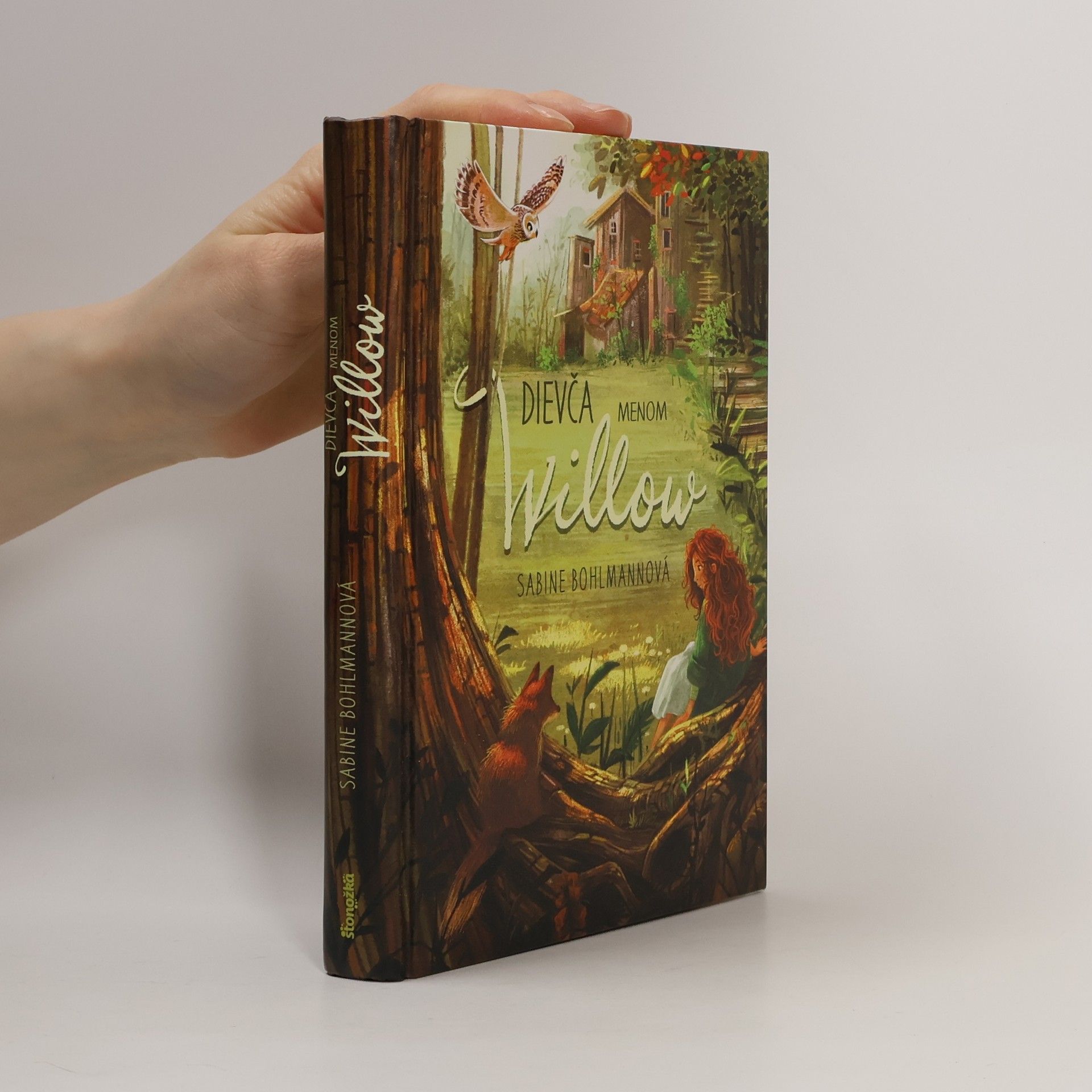 Sabine Bohlmann Dievča menom Willow