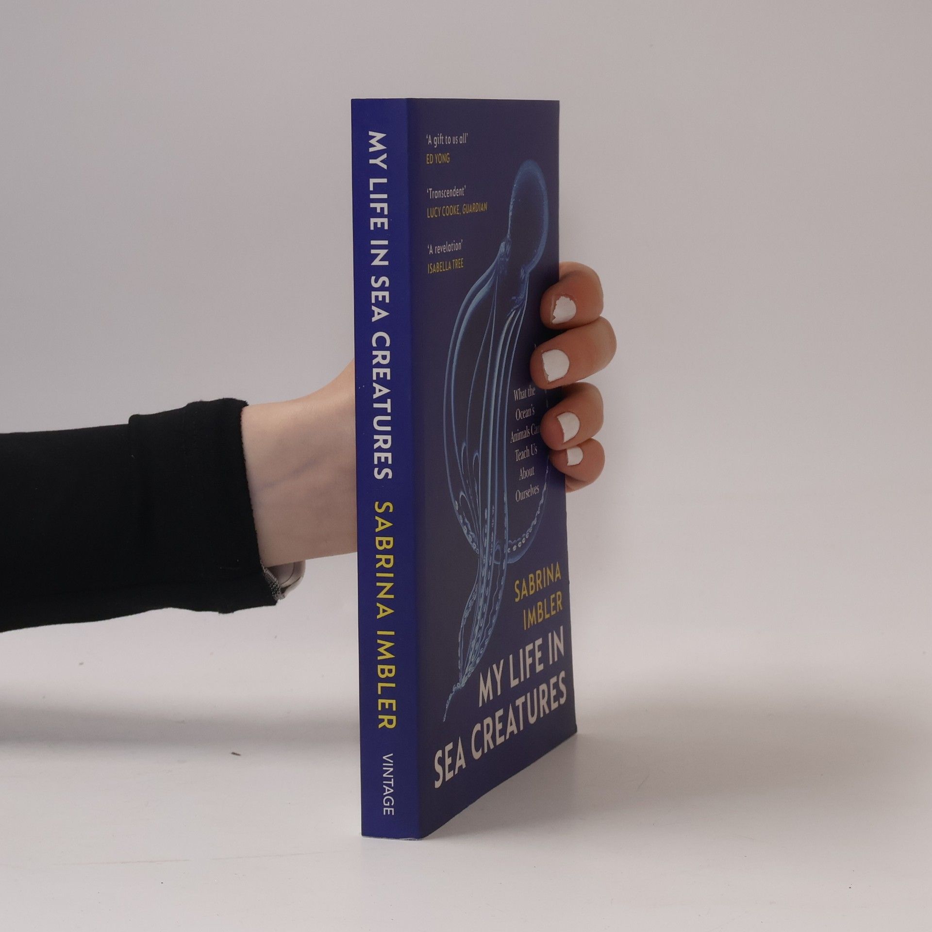 Sabrina Imbler My Life in Sea Creatures