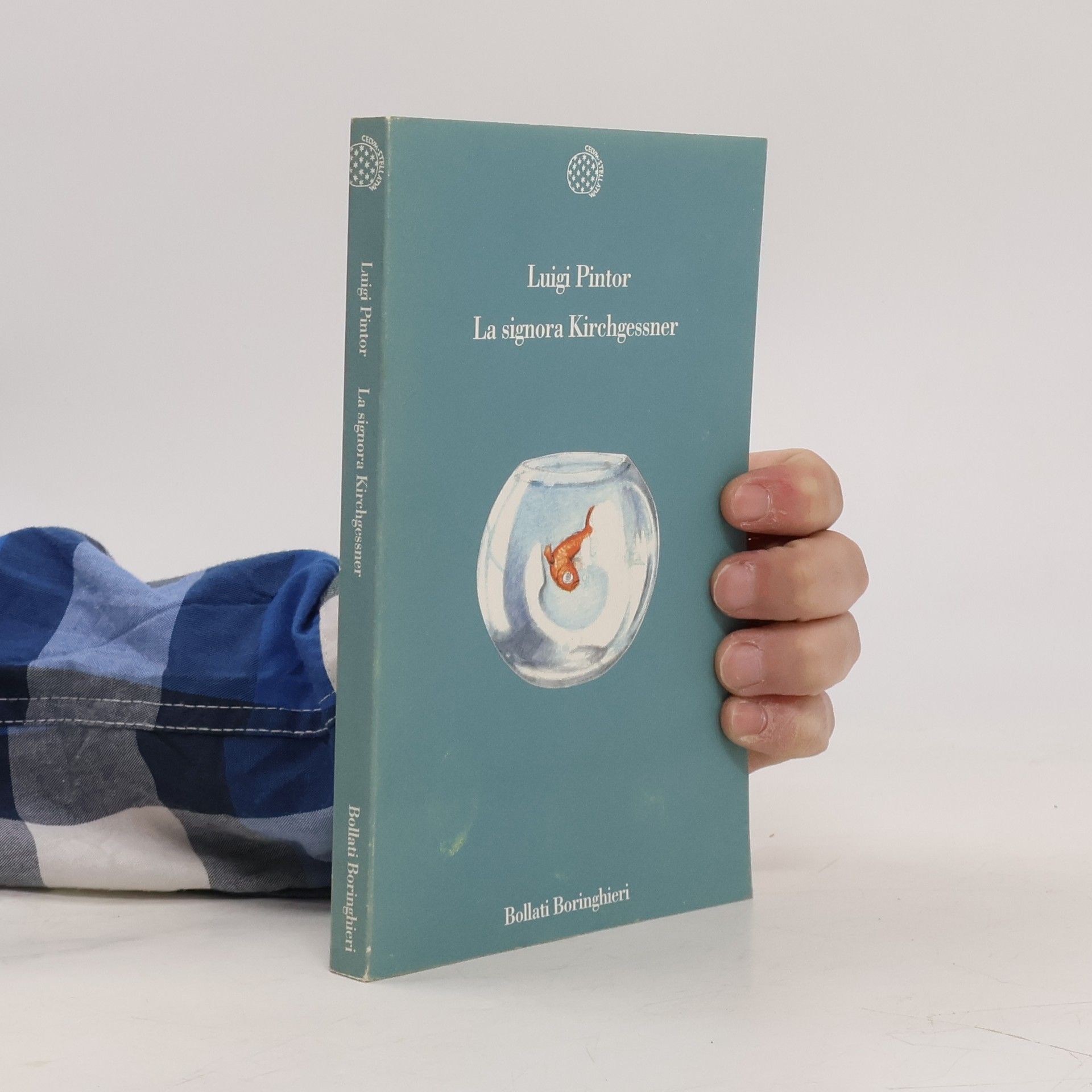 Luigi Pintor La signora Kirchgessner