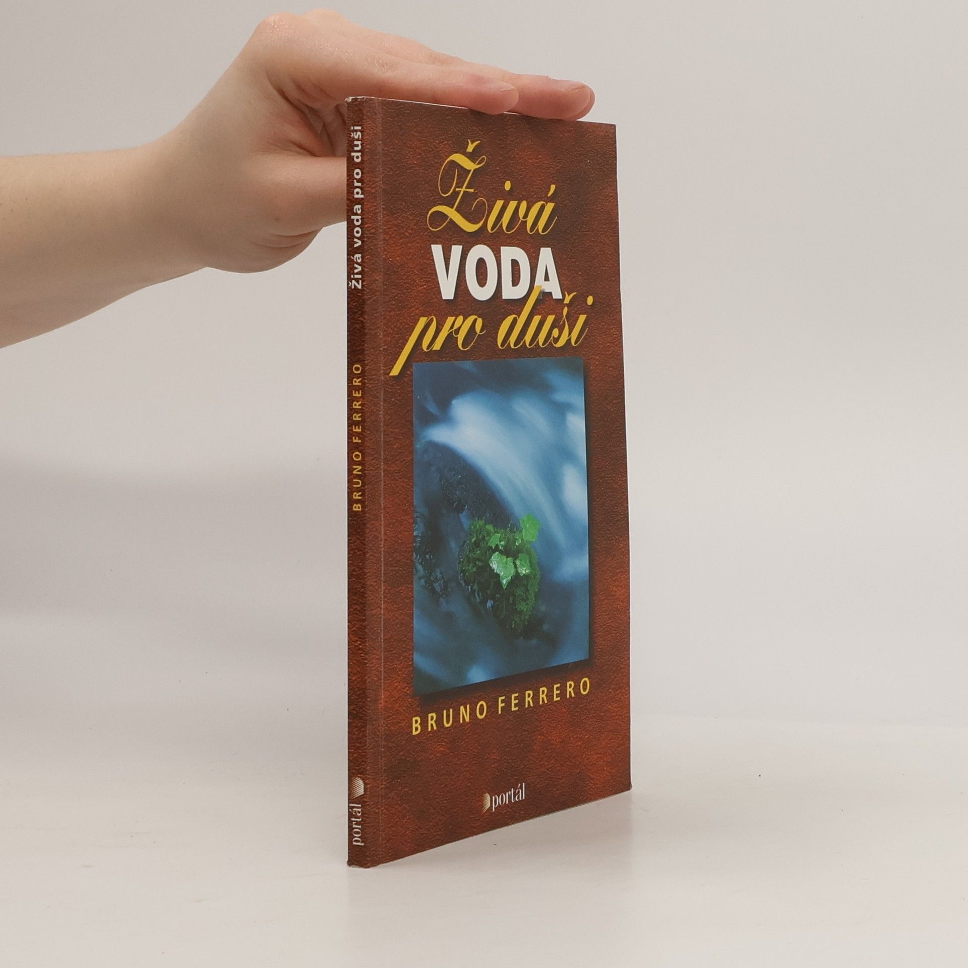 Bruno Ferrero Živá voda pro duši