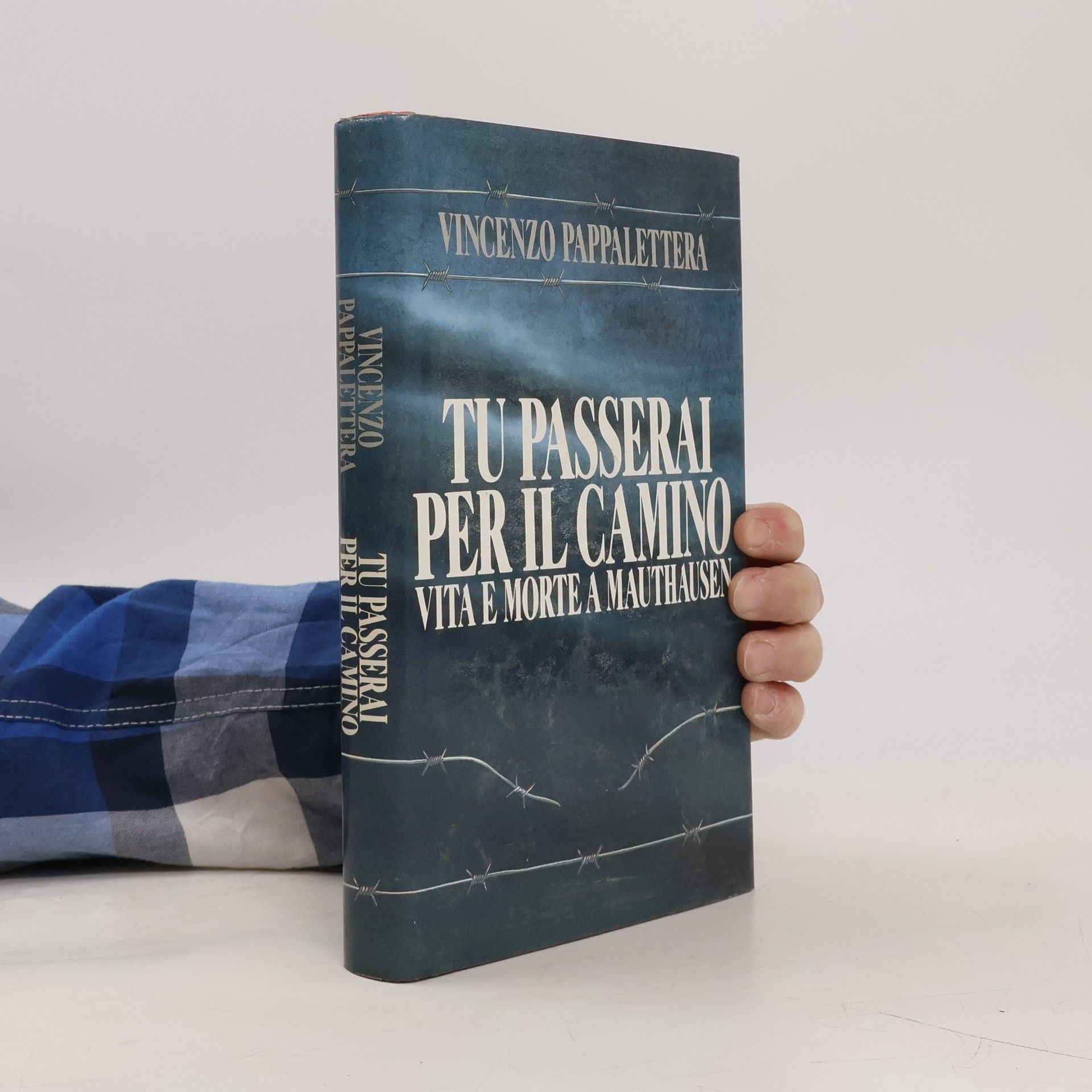 Vincenzo Pappalettera Tu passerai per il camino