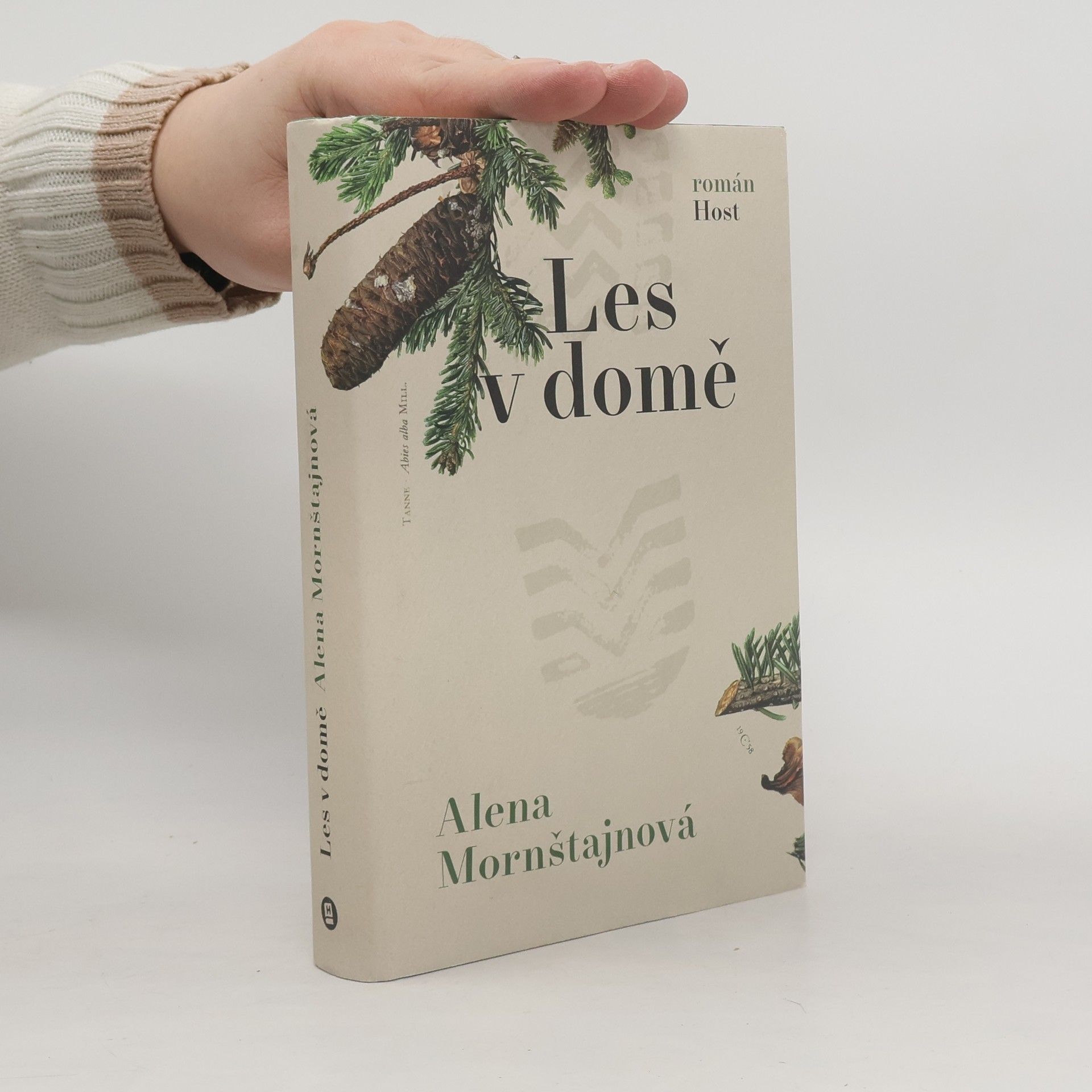 Alena Mornštajnová Les v domě