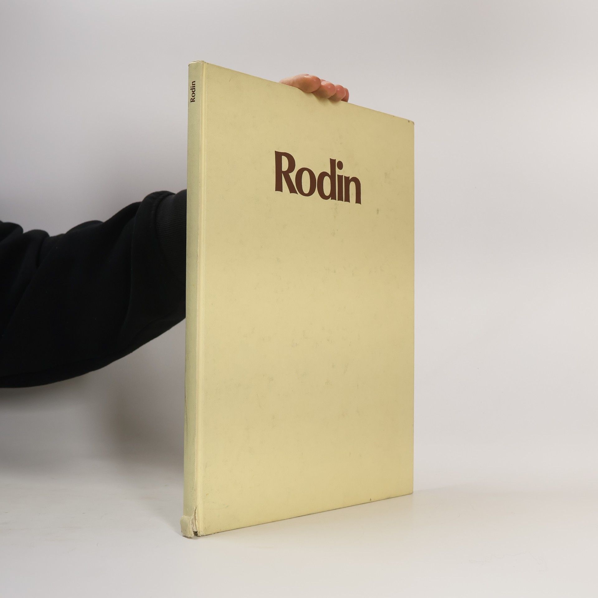 Heinz Spielmann Rodin