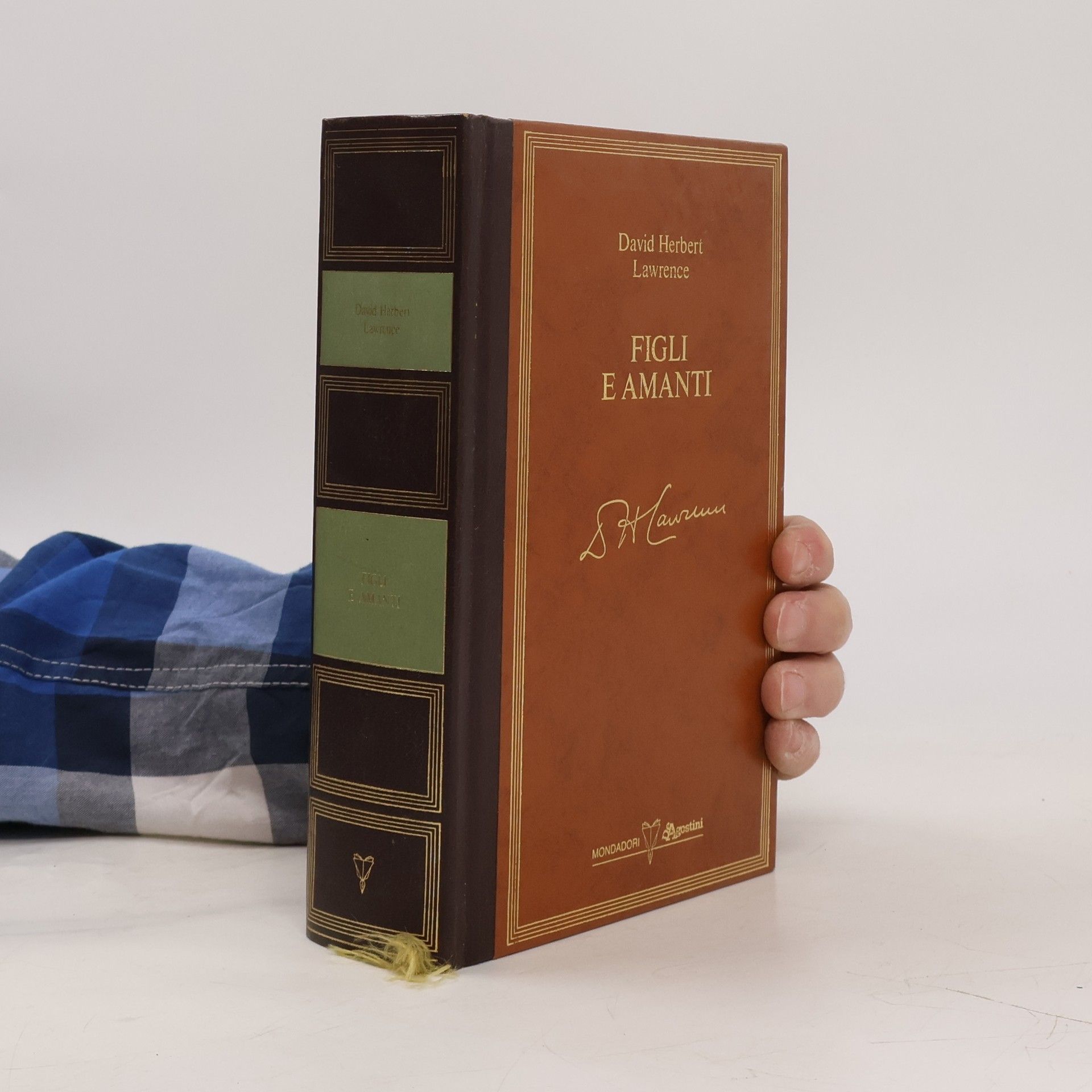 D. H. Lawrence Figli e amanti