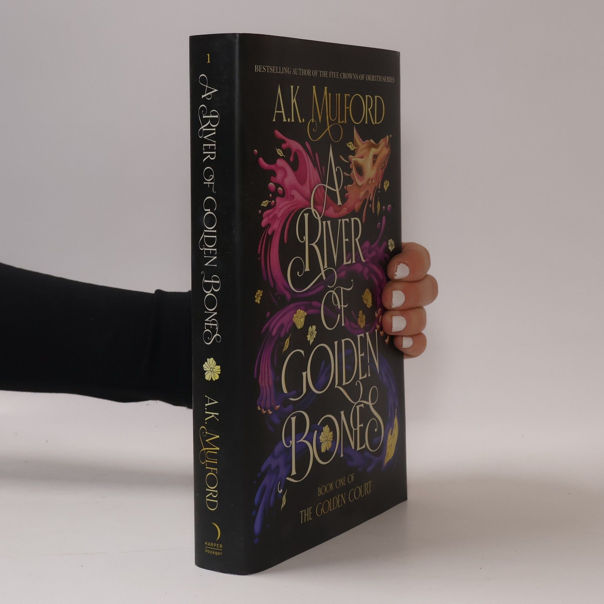 Aja Mulford A River of Golden Bones