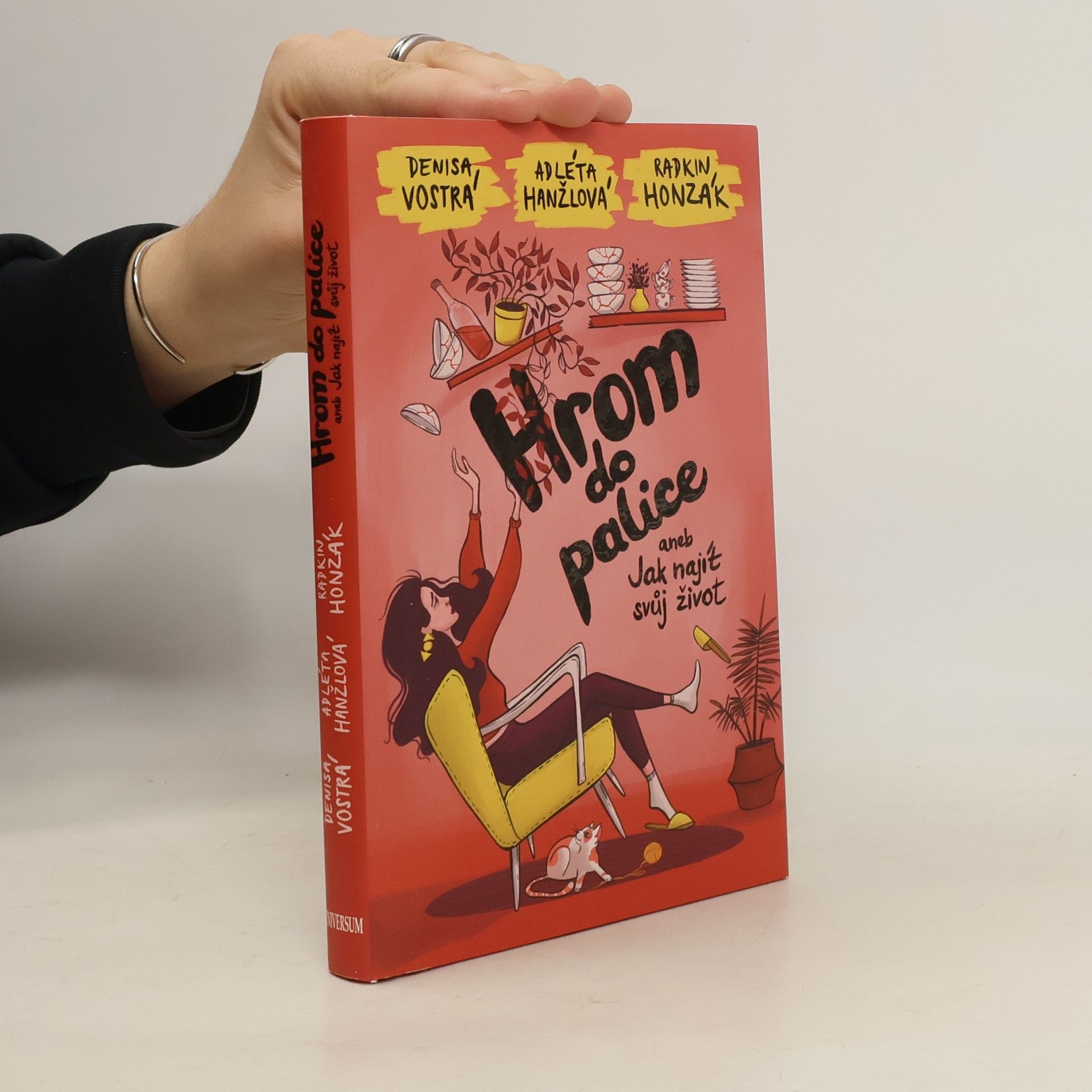 Denisa Vostrá Hrom do palice, aneb, Jak najít svůj život