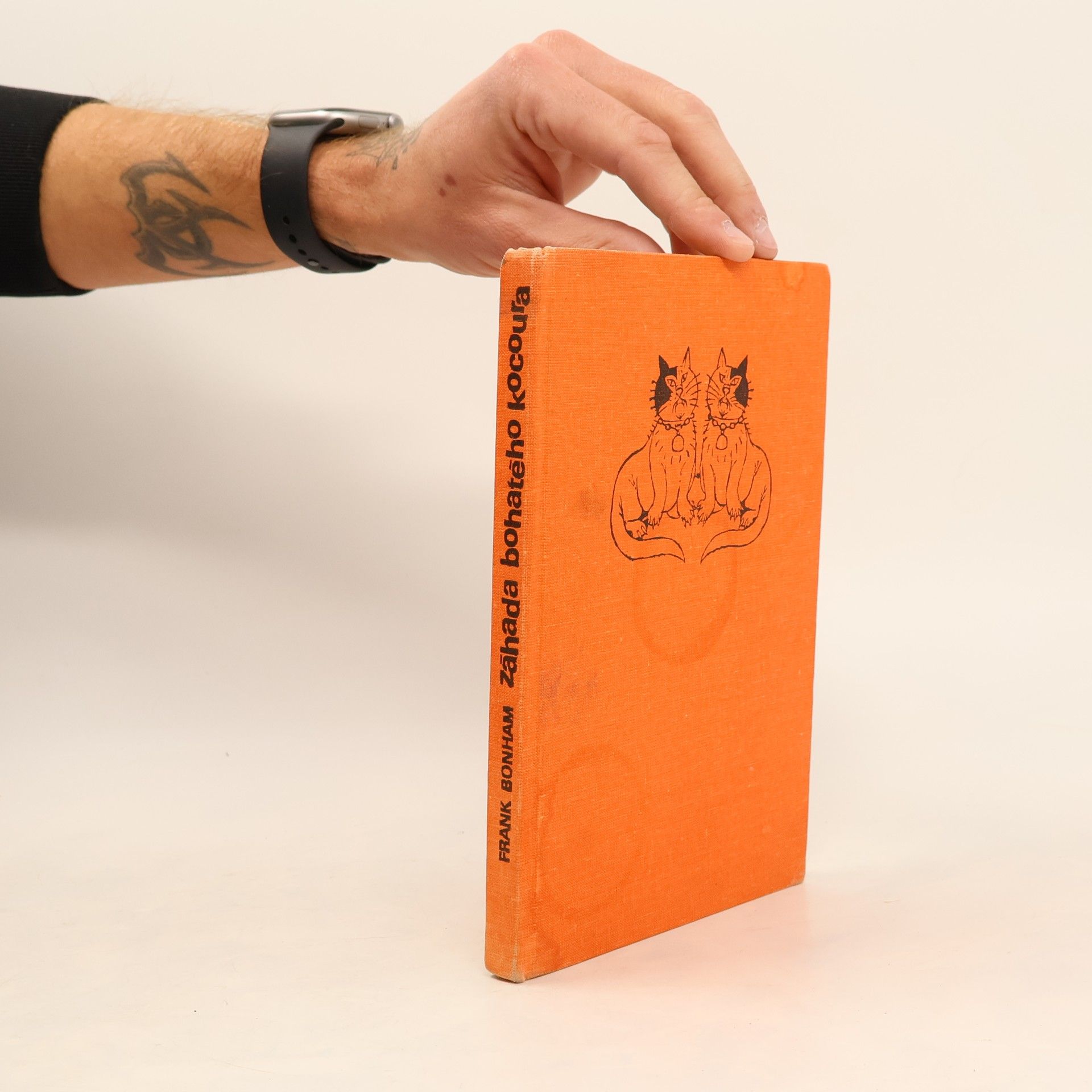 Frank Bonham Záhada bohatého kocoura