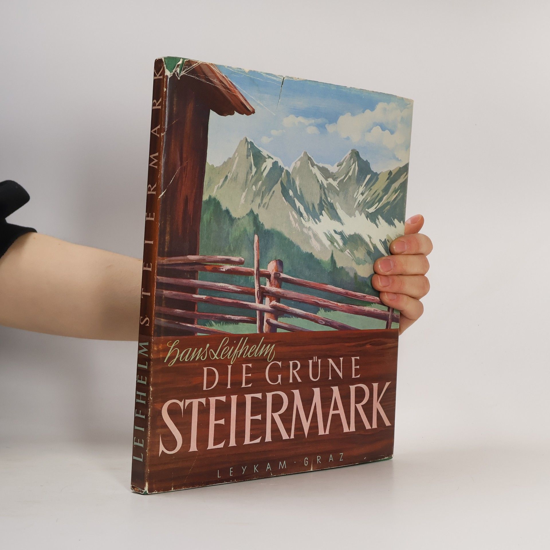 Autorenkollektiv Die Grüne Steiermark