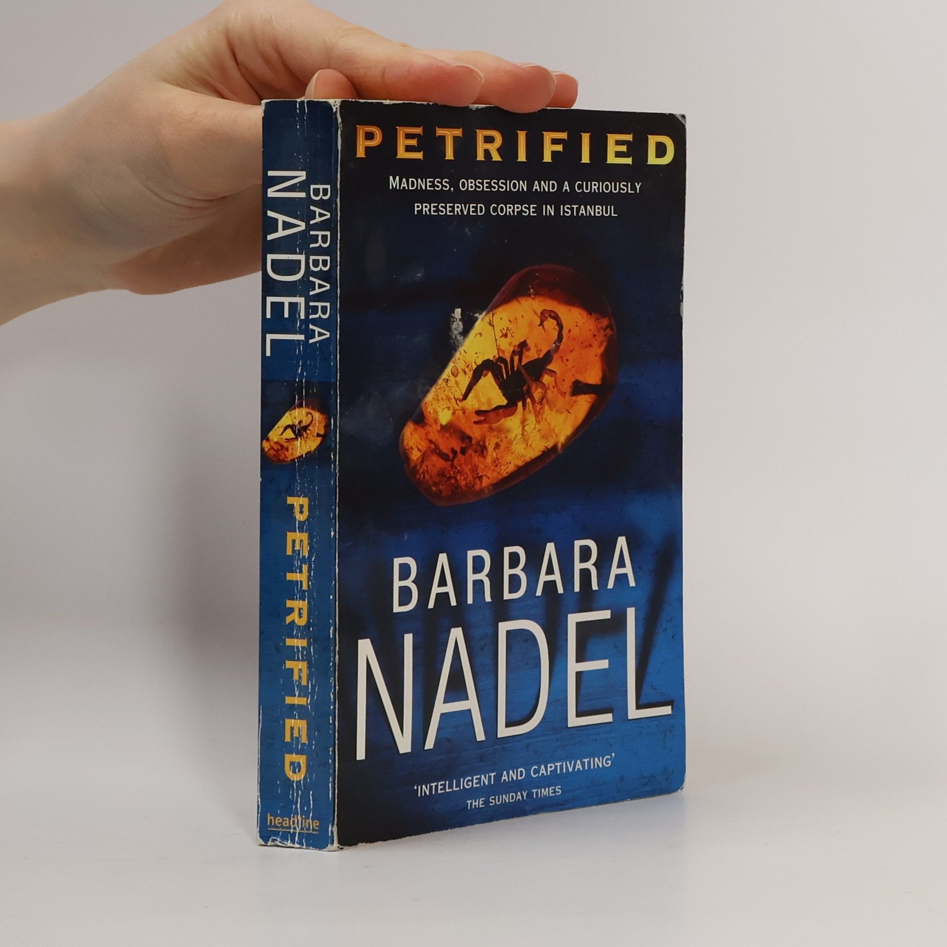 Barbara Nadel Petrified (Inspector Ikmen Mystery 6)