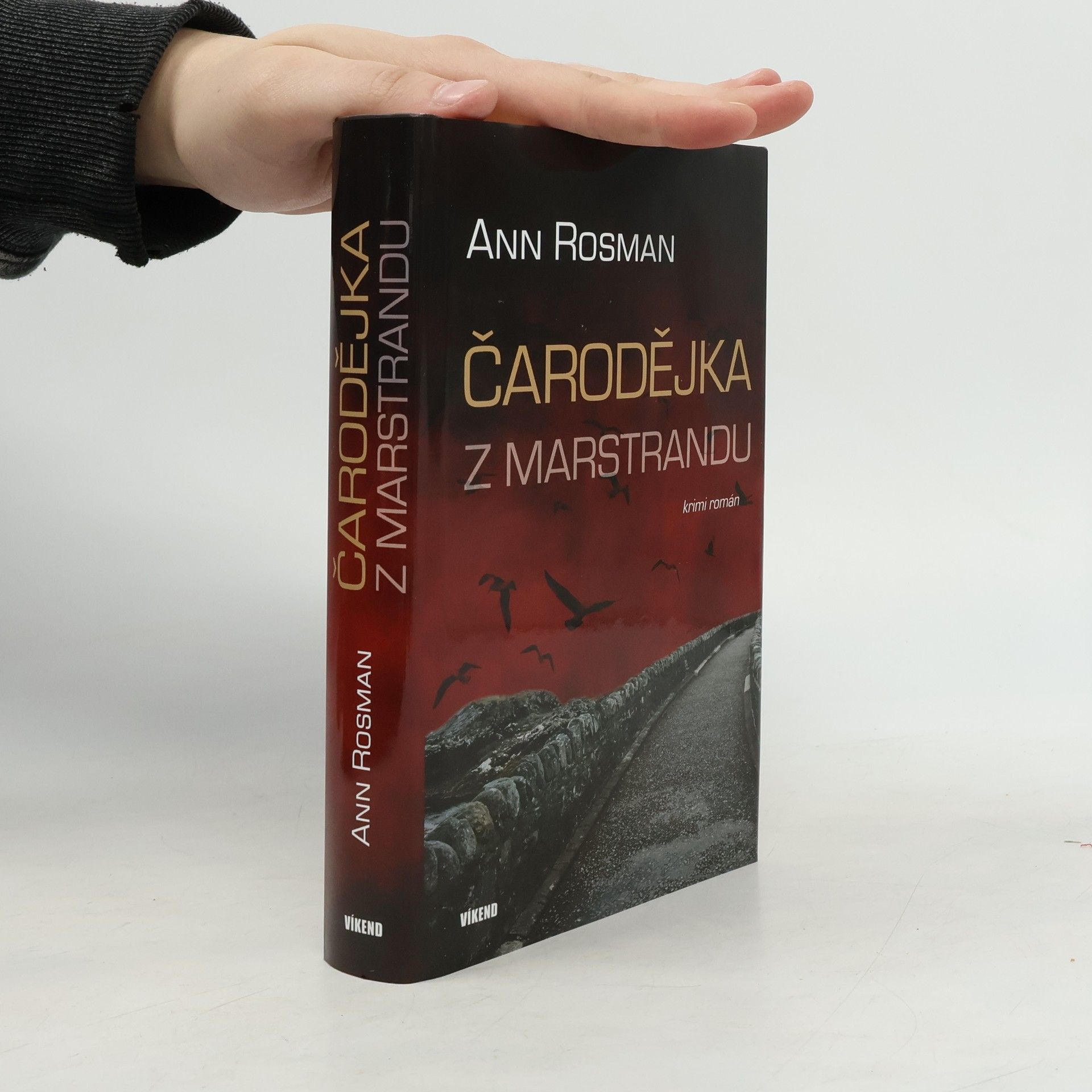 Ann Rosman Čarodějka z Marstrandu